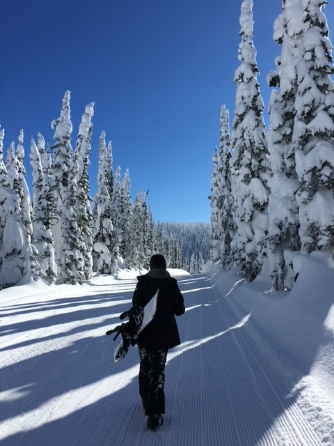 Whitney carrying a snowboard through a snowy landscape featuring tall snow-covered pine trees under clear skies