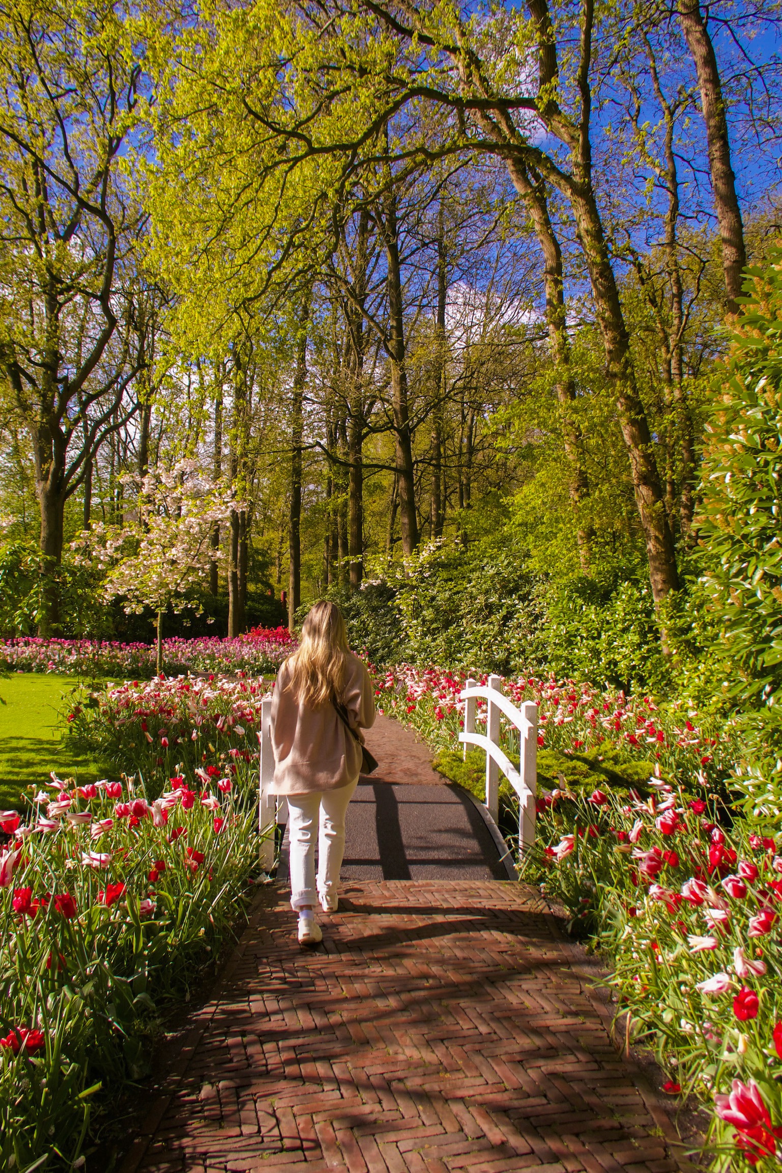 Beautiful view of Hannah walking down a path lined with red and pink flowers on a sunny day