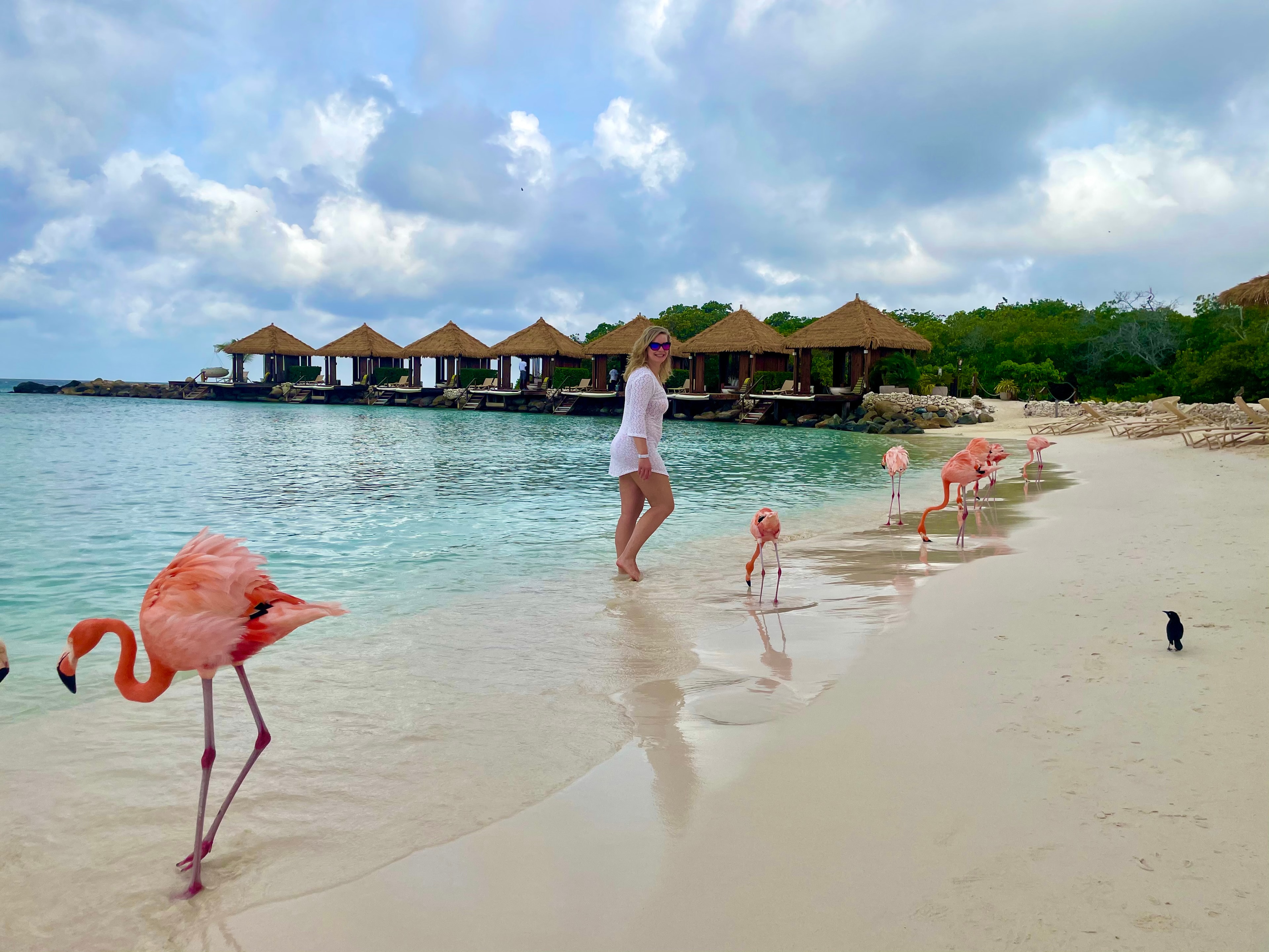 Beach side by crystal clear waters surrounded by pink flamingos.