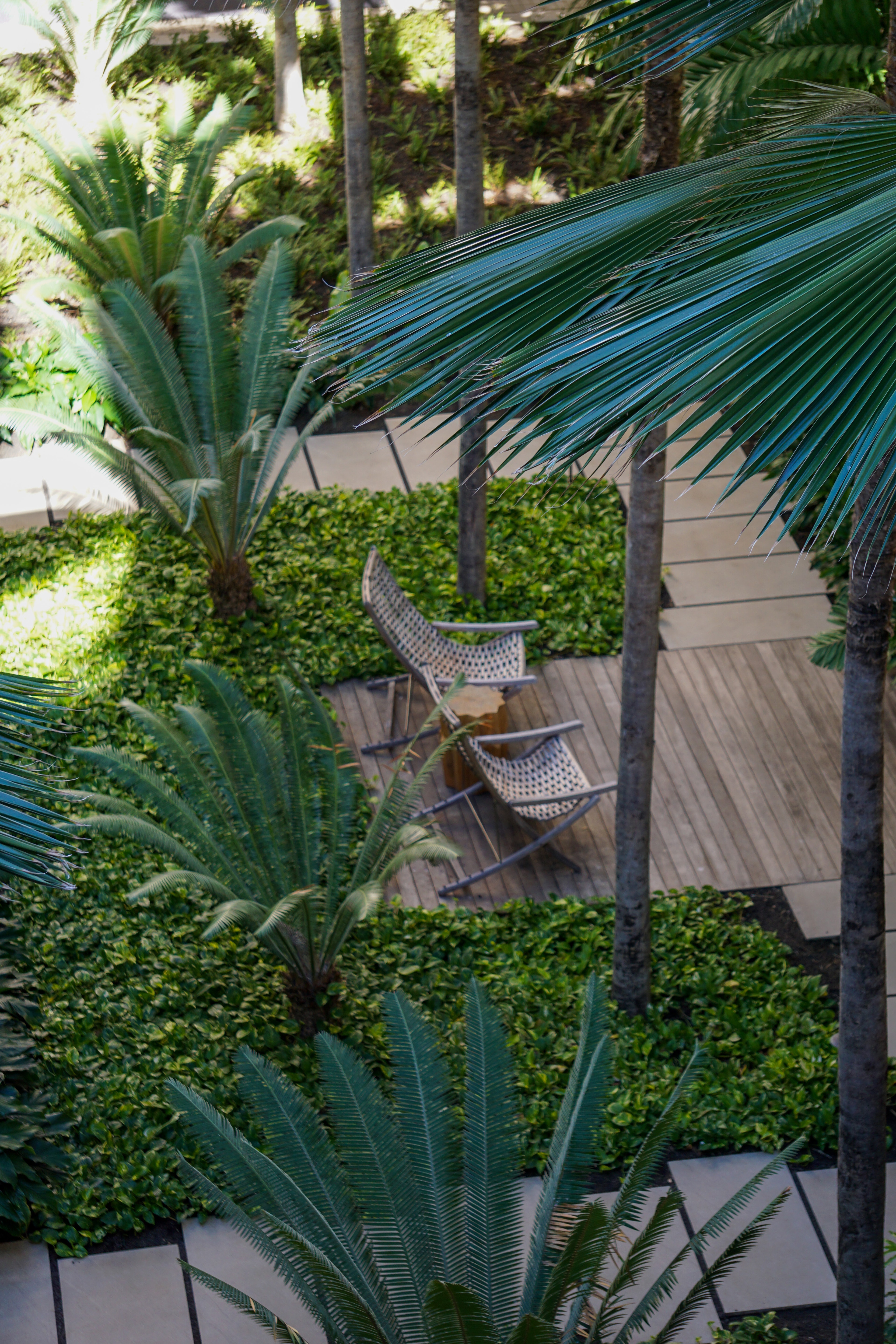 View of two folding chairs in the shade on a wooden deck as seen from above through palm fronds