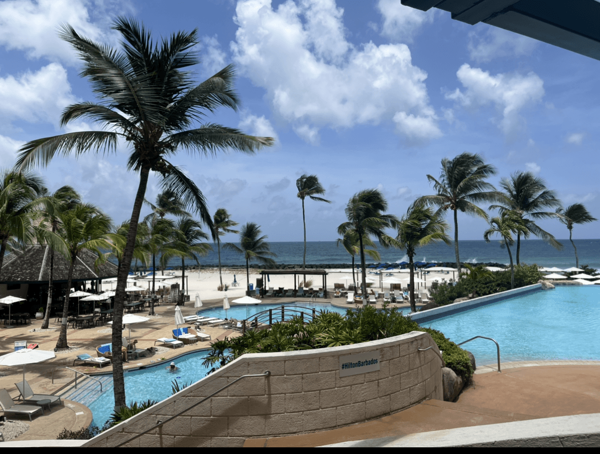 View of a resort pool and several palm trees leading down to the beach on a sunny day