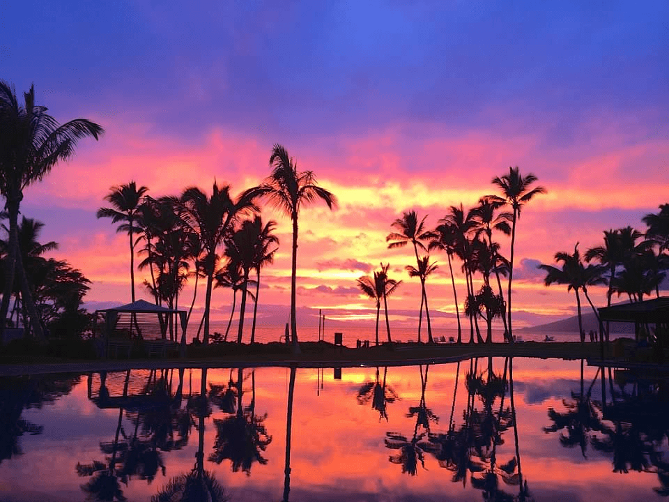 Beautiful view of a pink and yellow sunset over a resort pool with many palm trees in silhouette