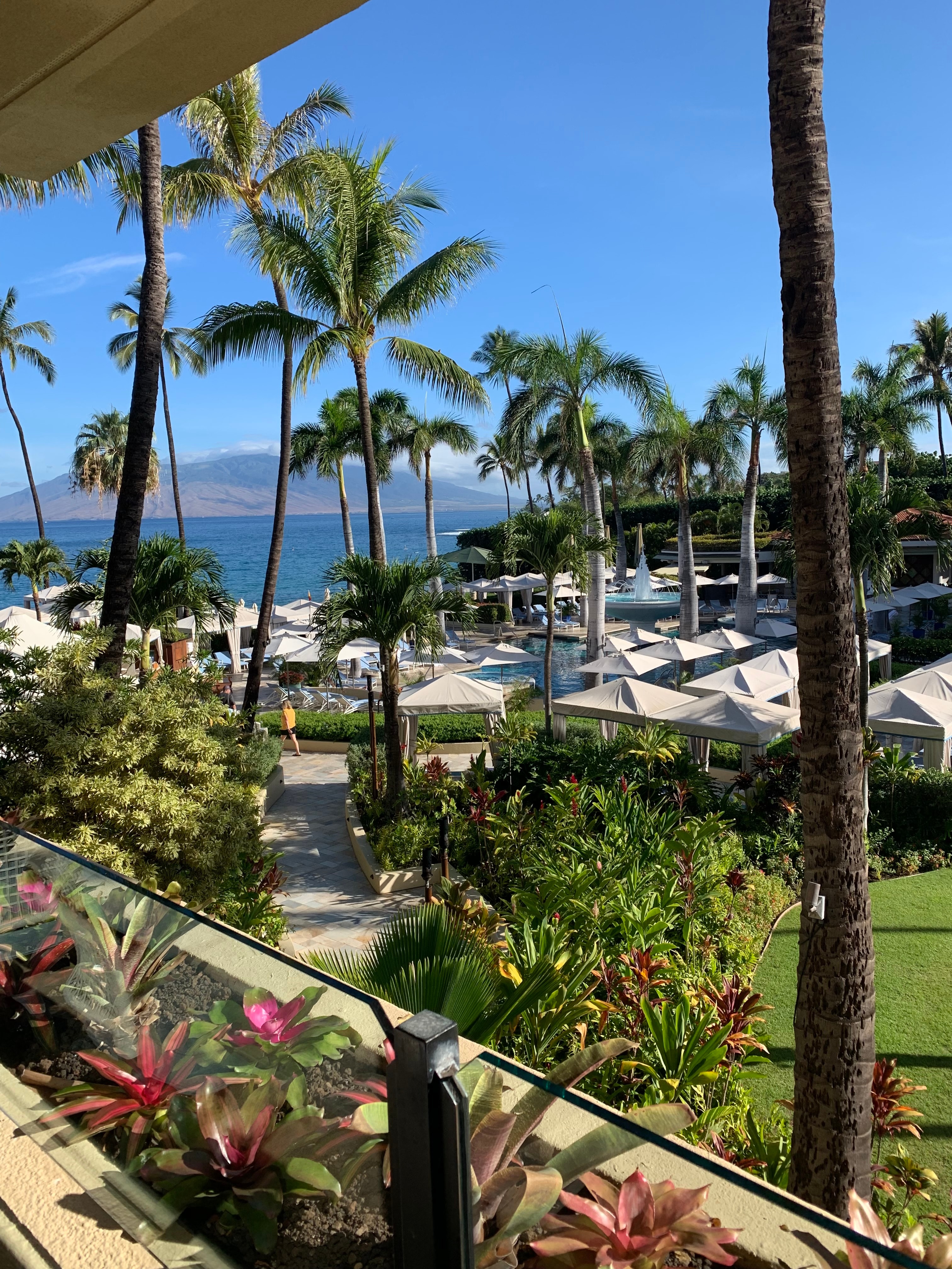 A view of a beach and a pool.