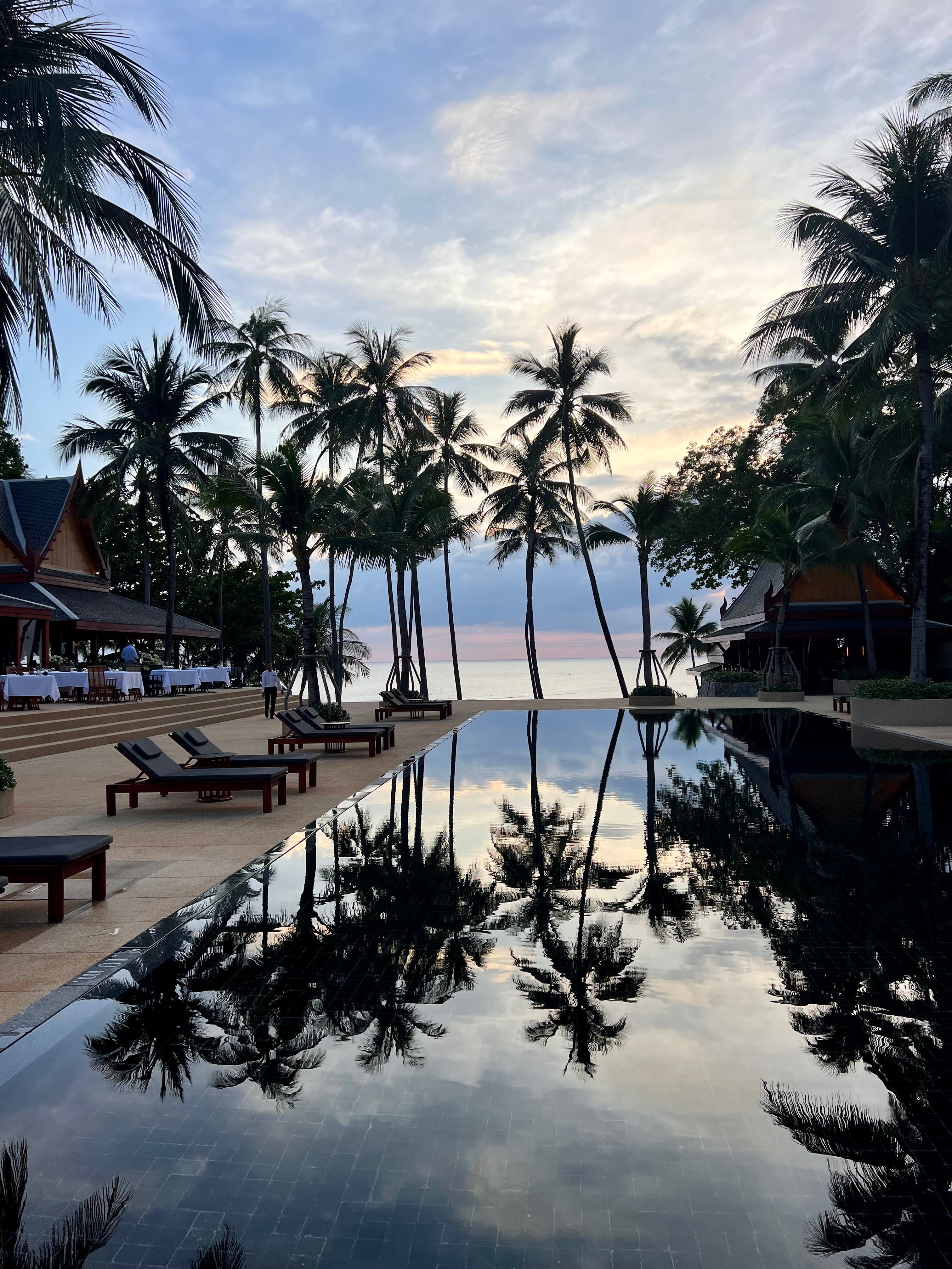 View of a glassy swimming pool lined with lounge chairs and palm trees at sundown