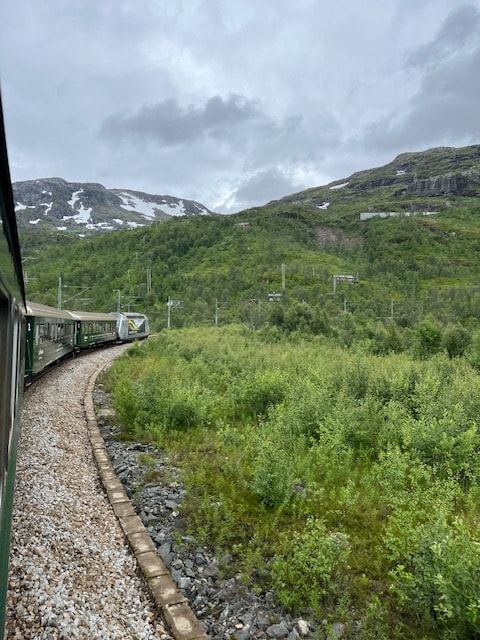 A train ride through the mountains with green grass and snowy gray mountains.