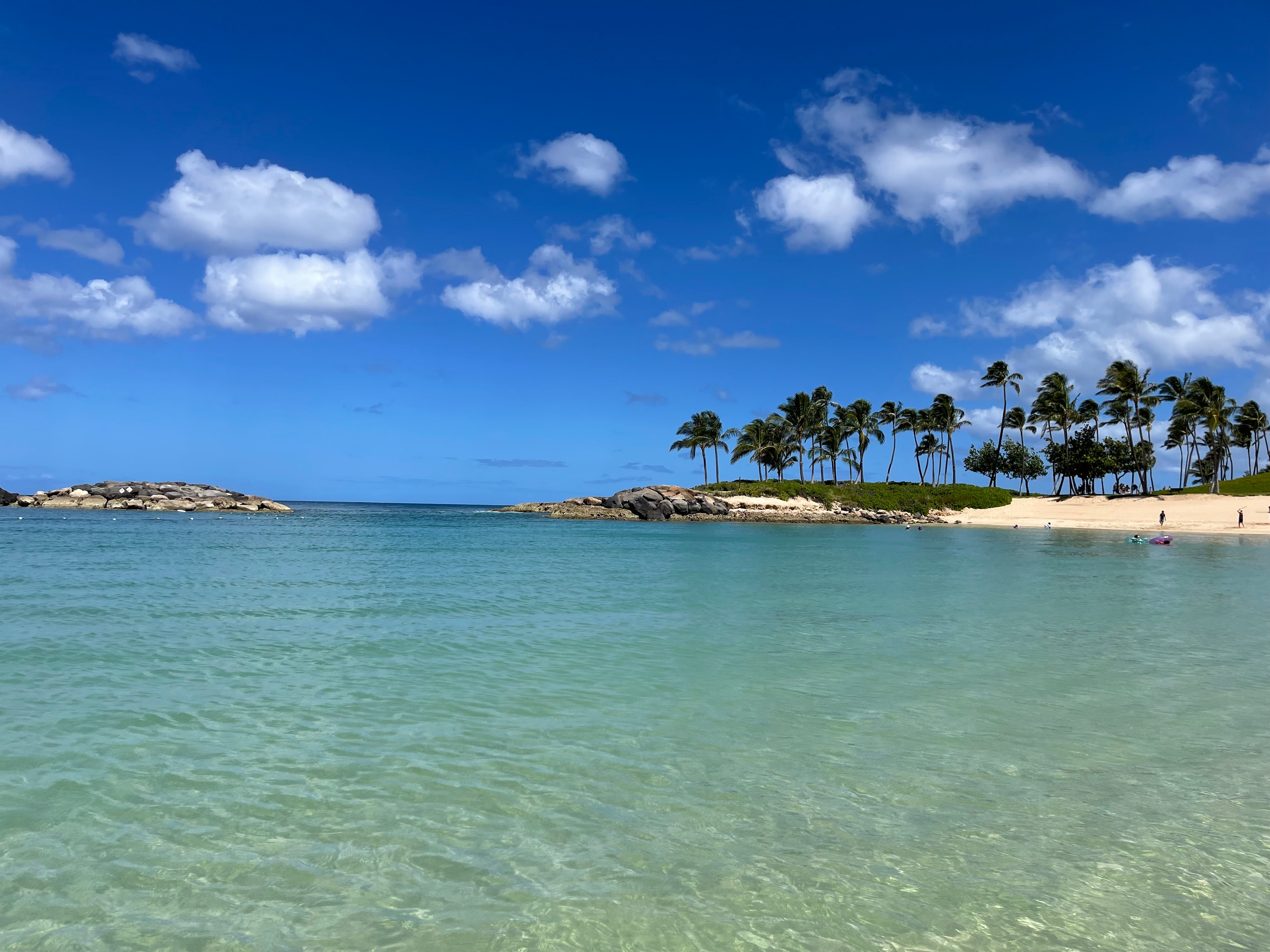 View of a crystal clear and calm sea with bunch of palm trees on shore in the distance