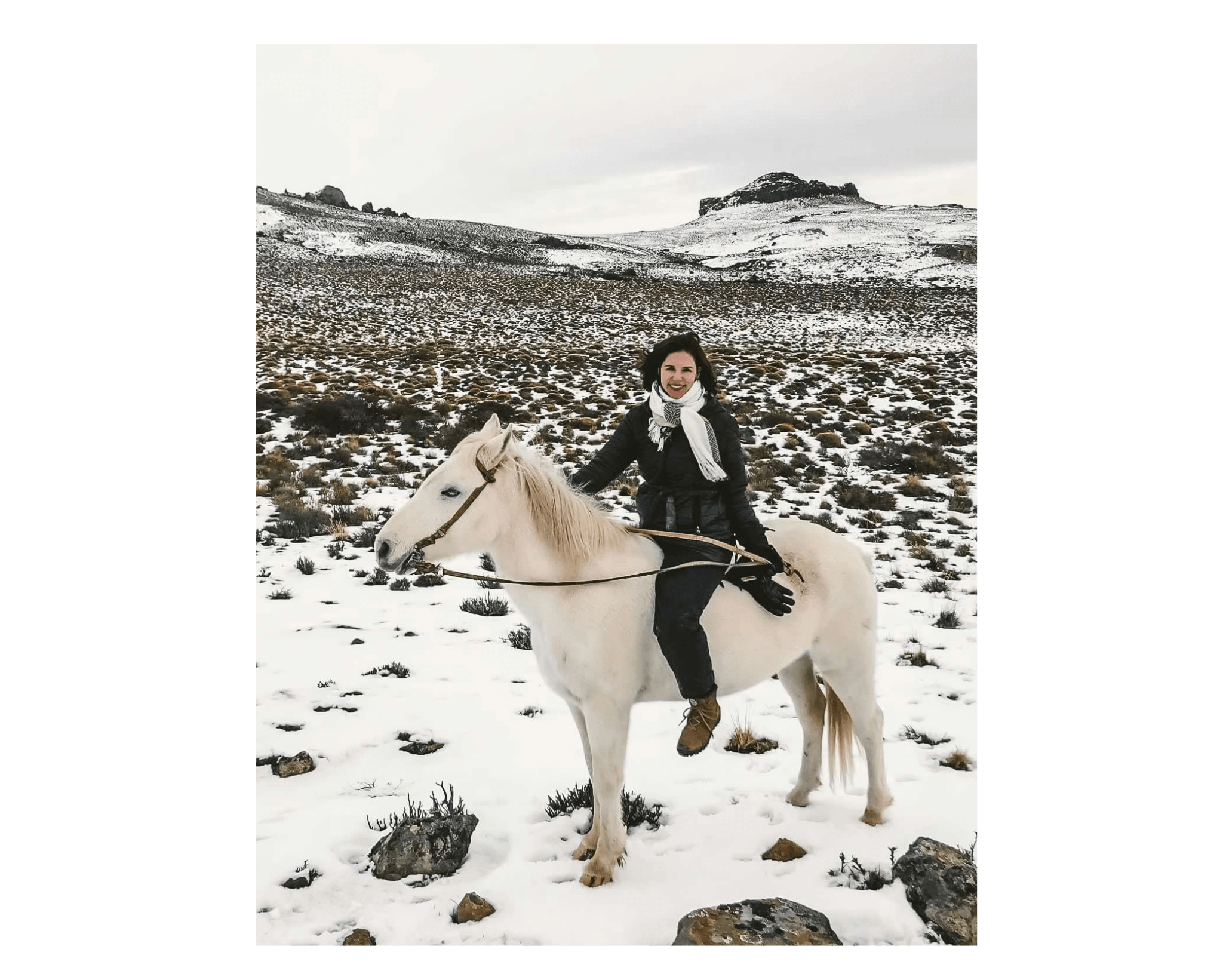 Advisor in winter clothing on the back of a beautiful white horse in a wintery landscape