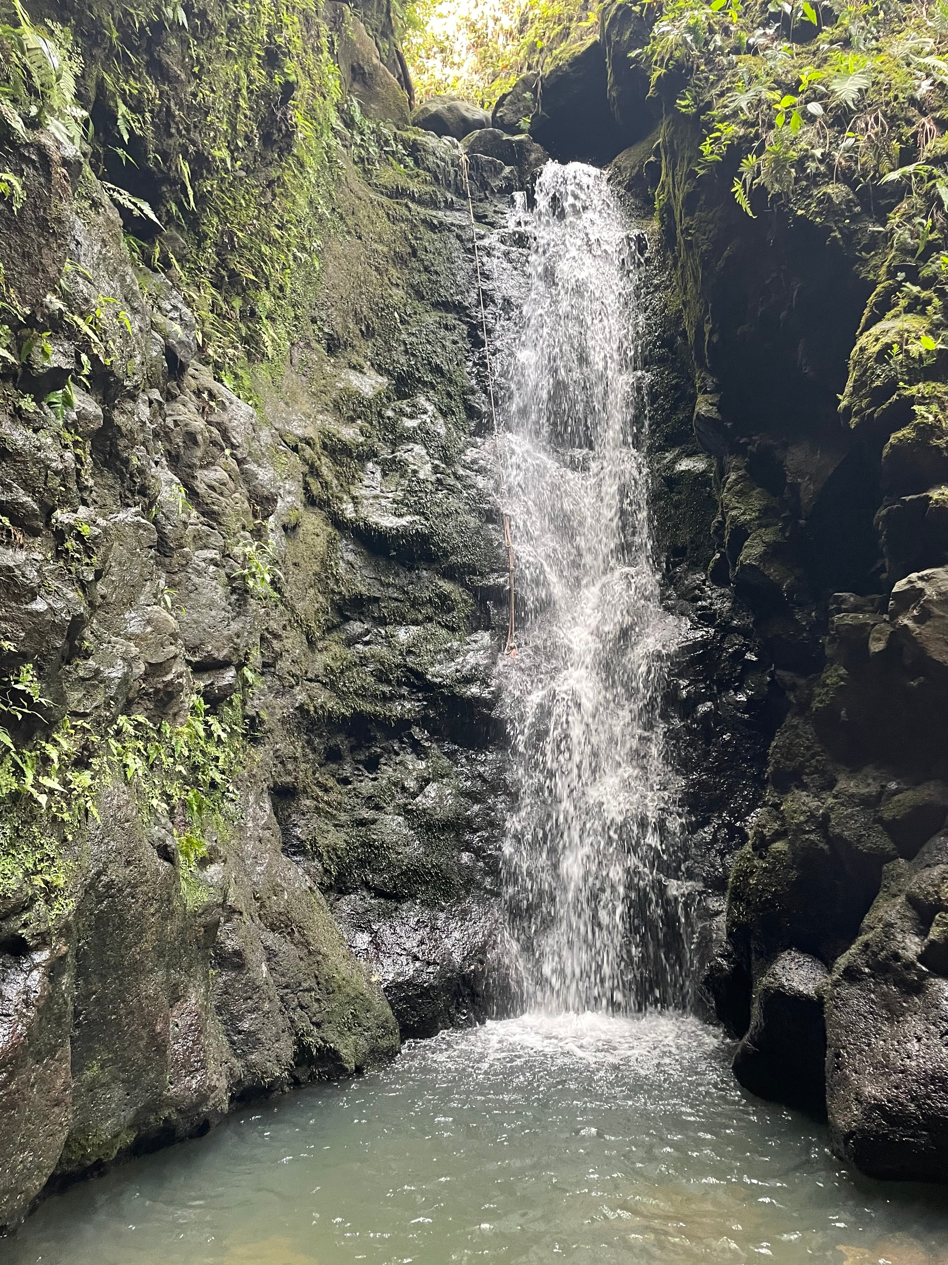 A waterfall cascading into a pool of water surrounded by foliage on a clear day. 