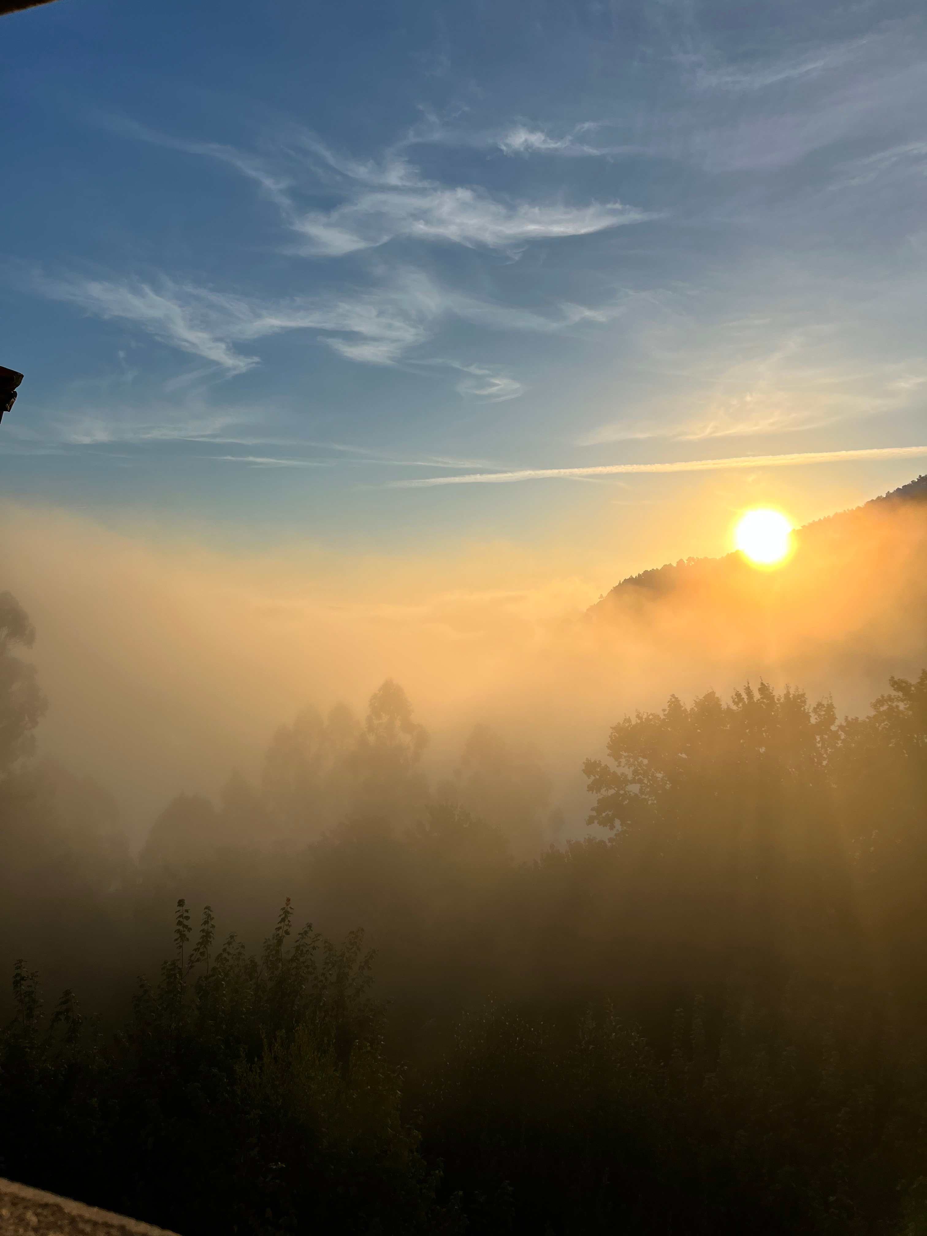 Beautiful sunrise over a misty jungle landscape