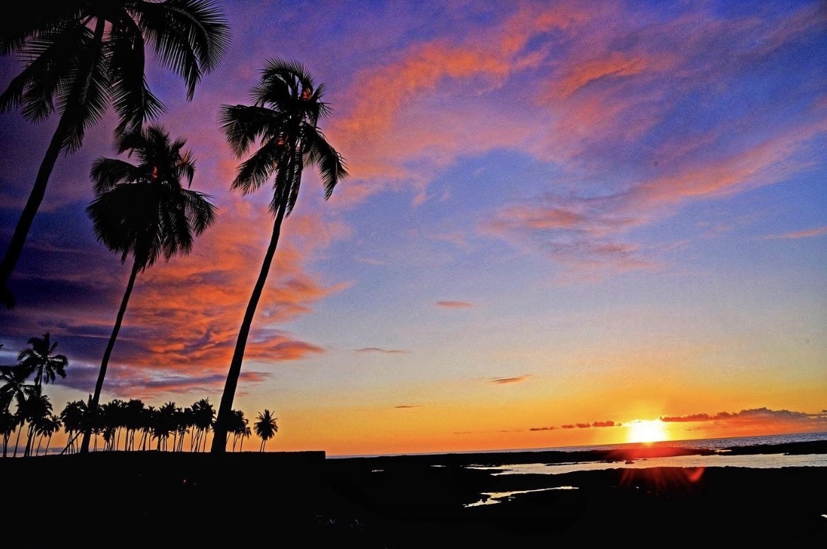 Palm tress reach to the sky as the sun sets in the distance giving the sky a pink and purple hue. 