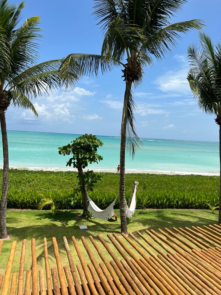 View of two white hammocks hung between palm trees overlooking a turquoise sea