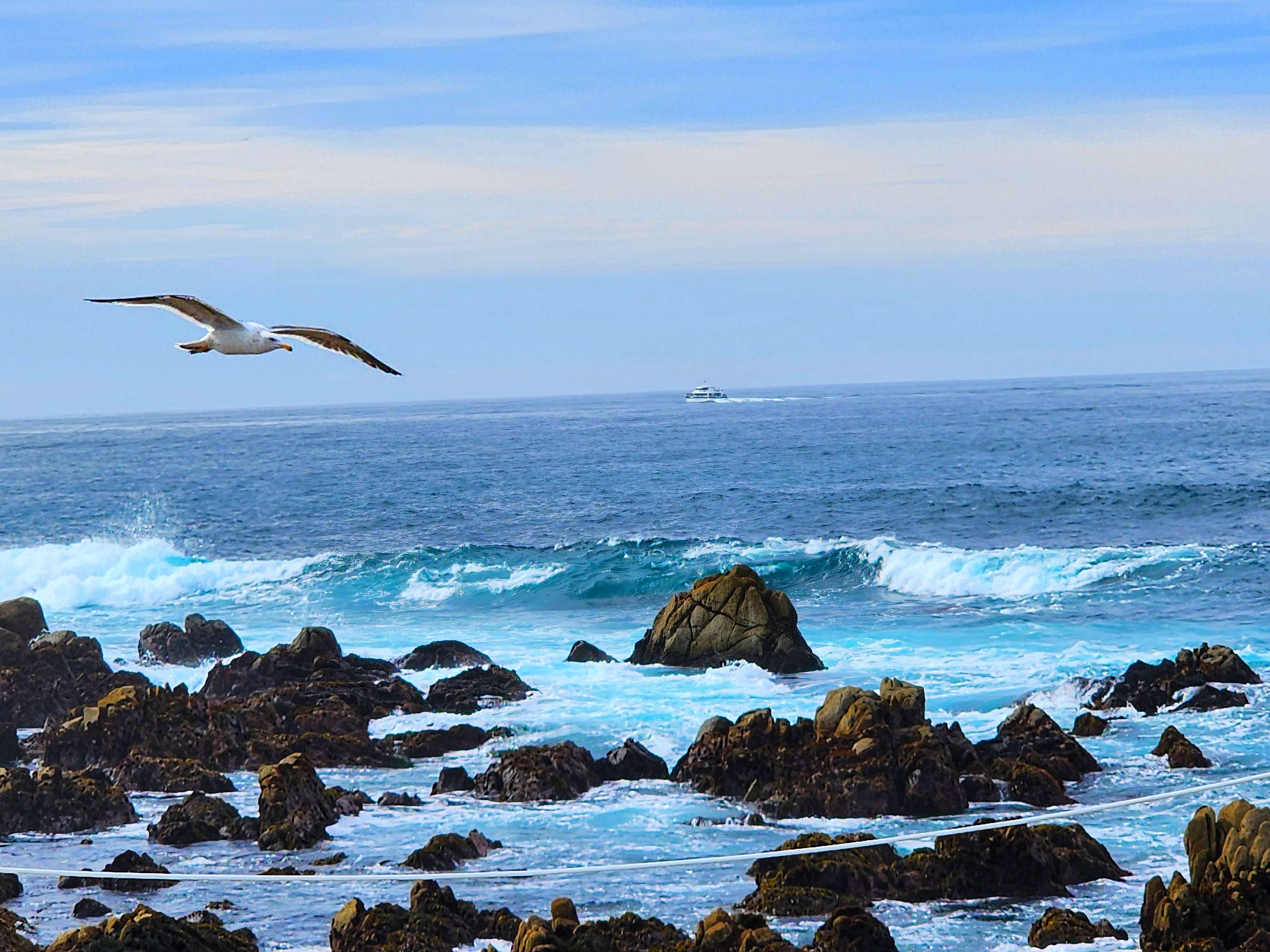 View of a seagull flying over a rocky shoreline and waves crashing at sea under cloudy skies