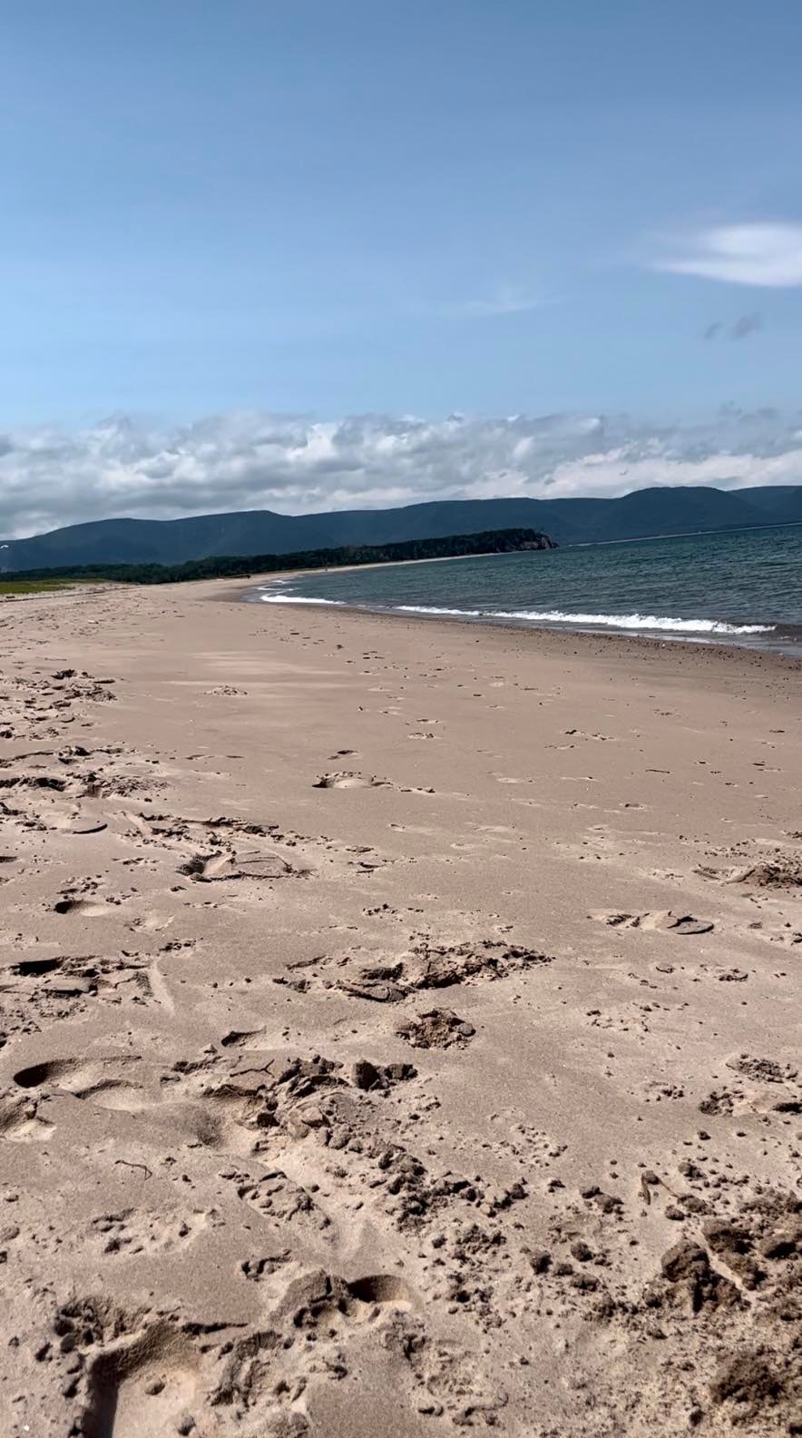 Sandy beach during the day.