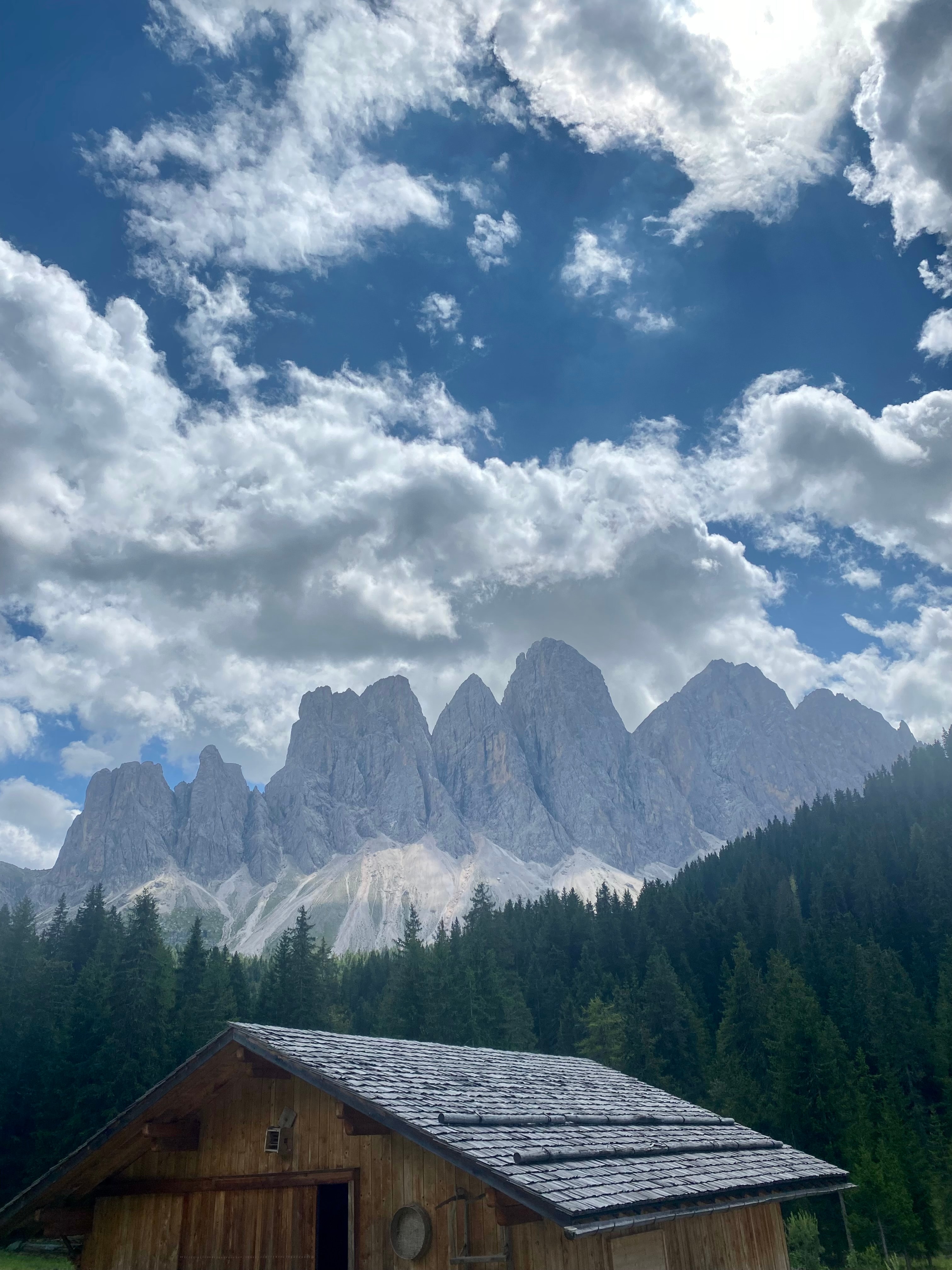 Beautiful view of the Dolomites and trees in the foreground on a sunny day