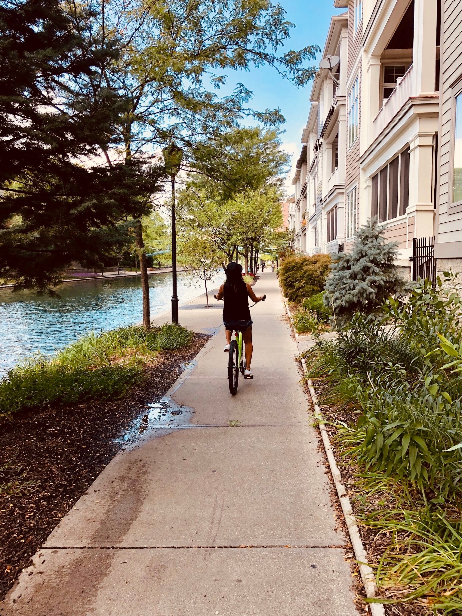 Advisor riding a bicycle down a sidewalk lined with plants on a sunny day