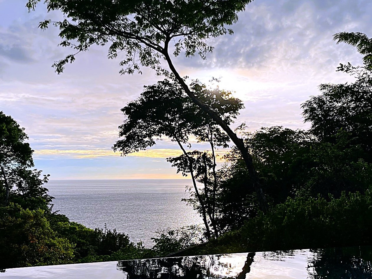 View of trees in silhouette against sunset over the sea