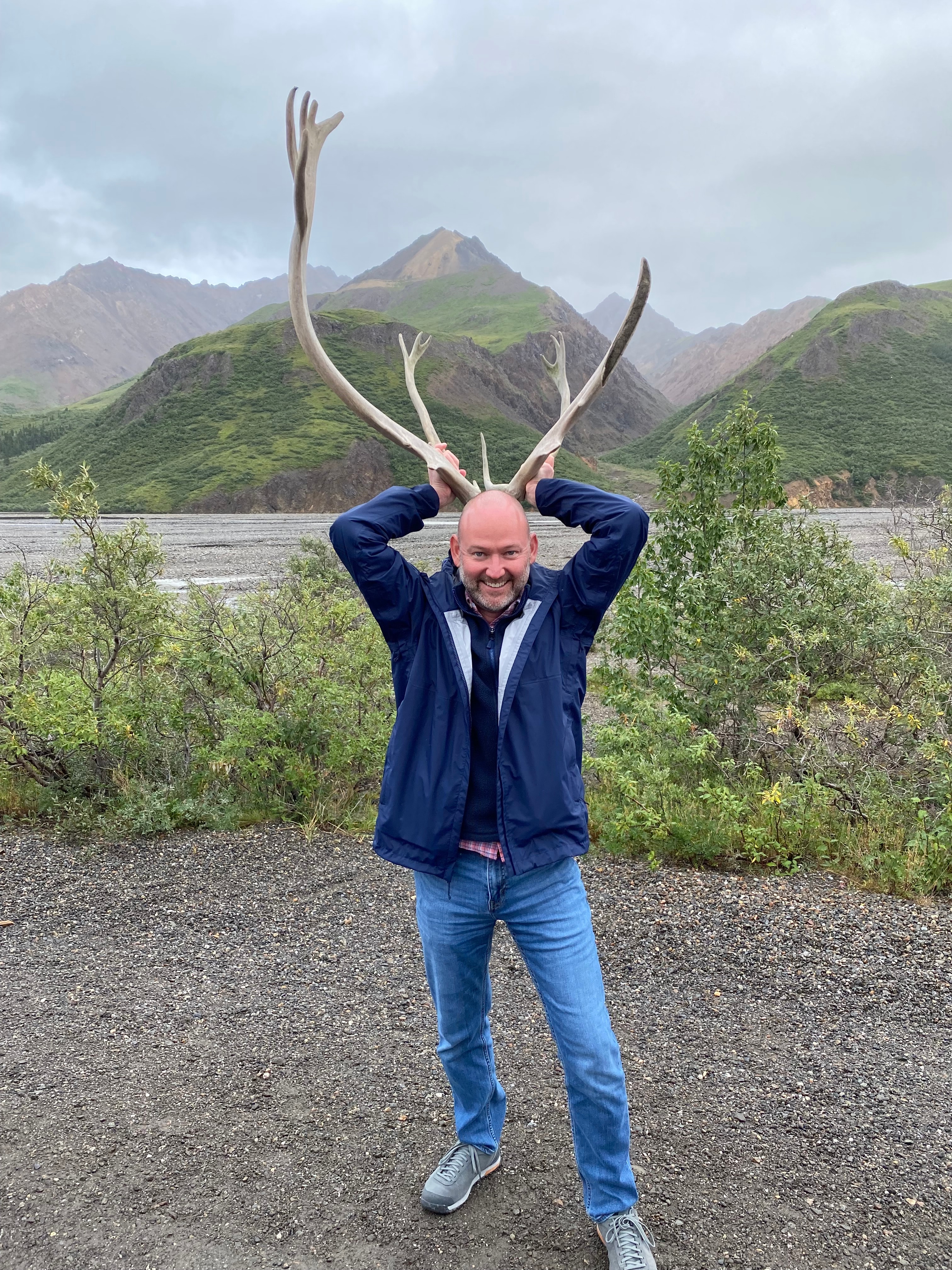 Antlers by the mountains.