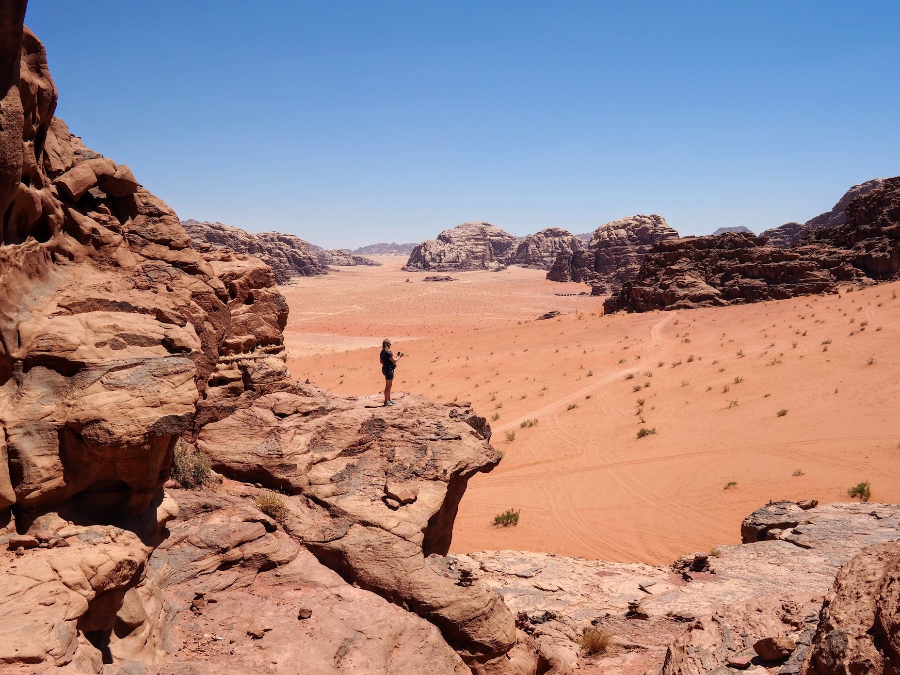 Advisor standing on a cliff overlooking a valley of red rocks under clear skies