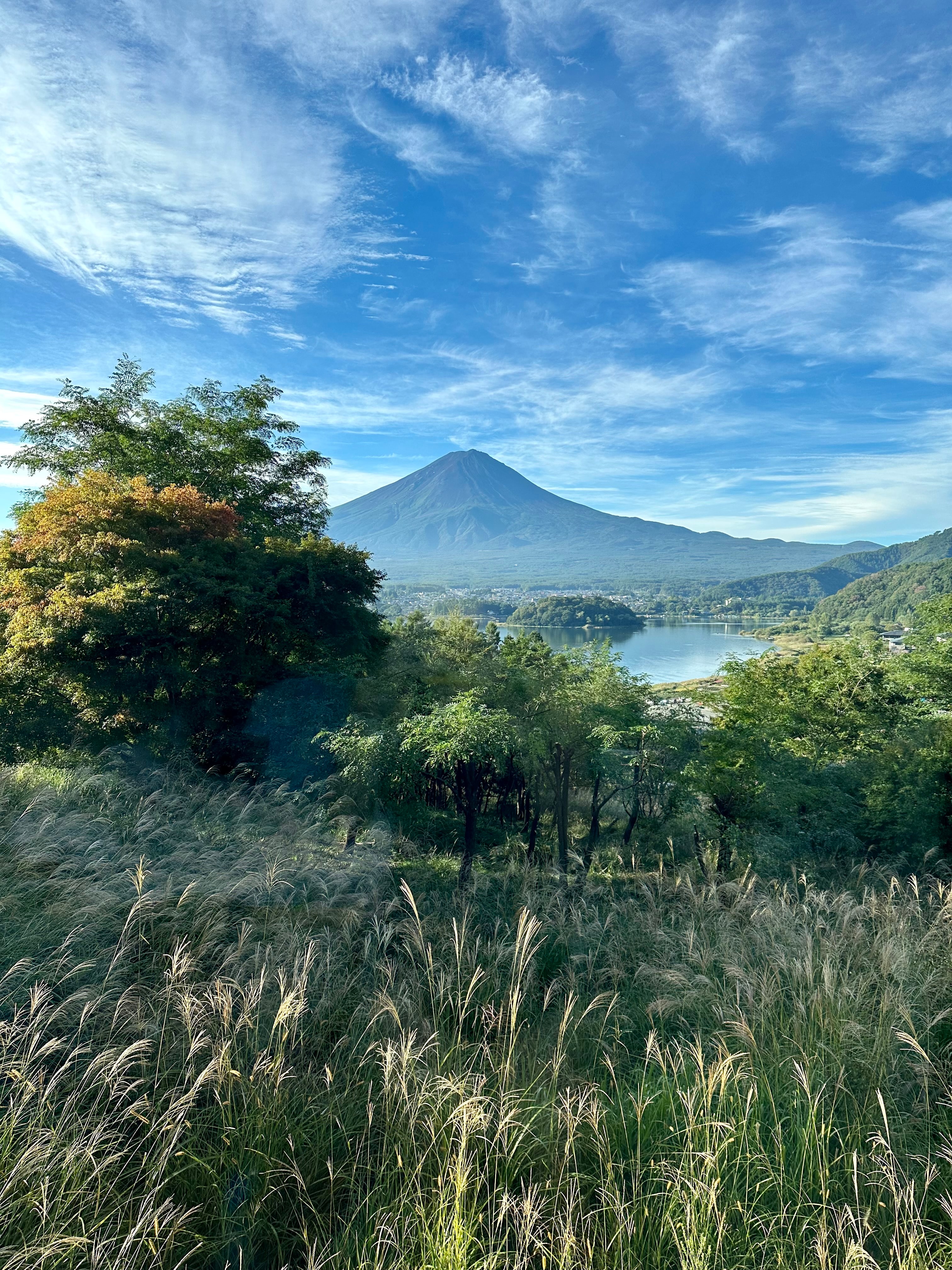 Beautiful view of a green field stretching out towards a lone mountain in the distance 