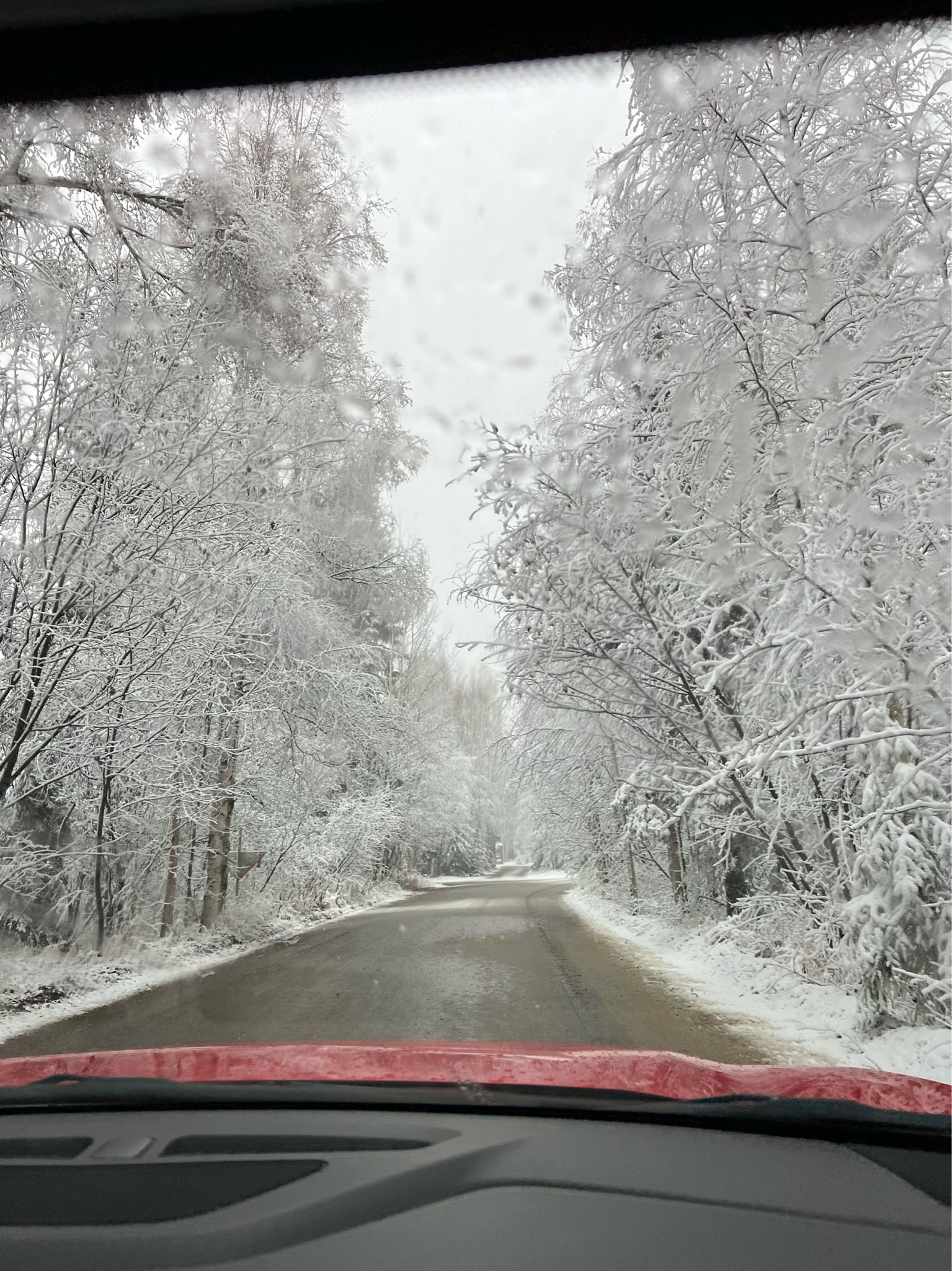 A view through the windshield looking at a narrow road surrounded by snow covered trees during the day.