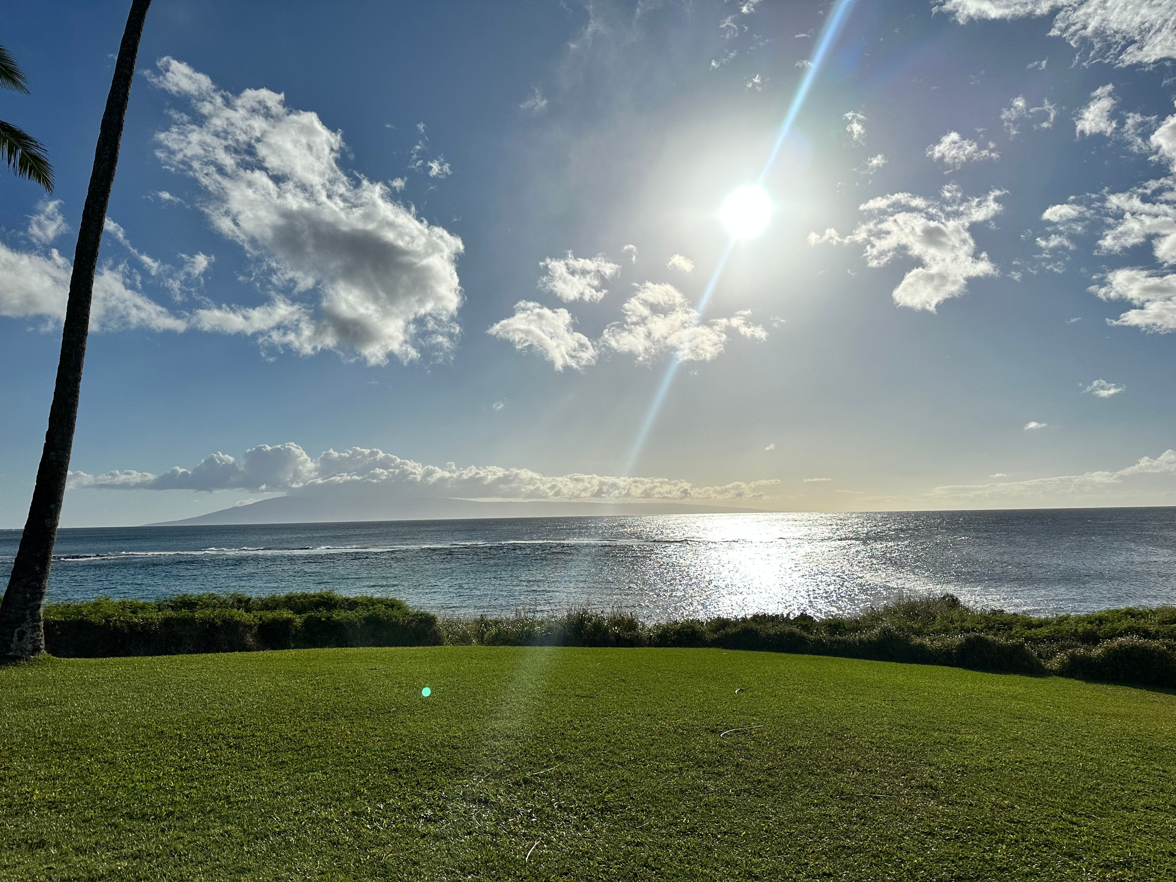 A picture of water sparkling beneath a cloudy blue sky. There is a grassy lawn in front of the water. 