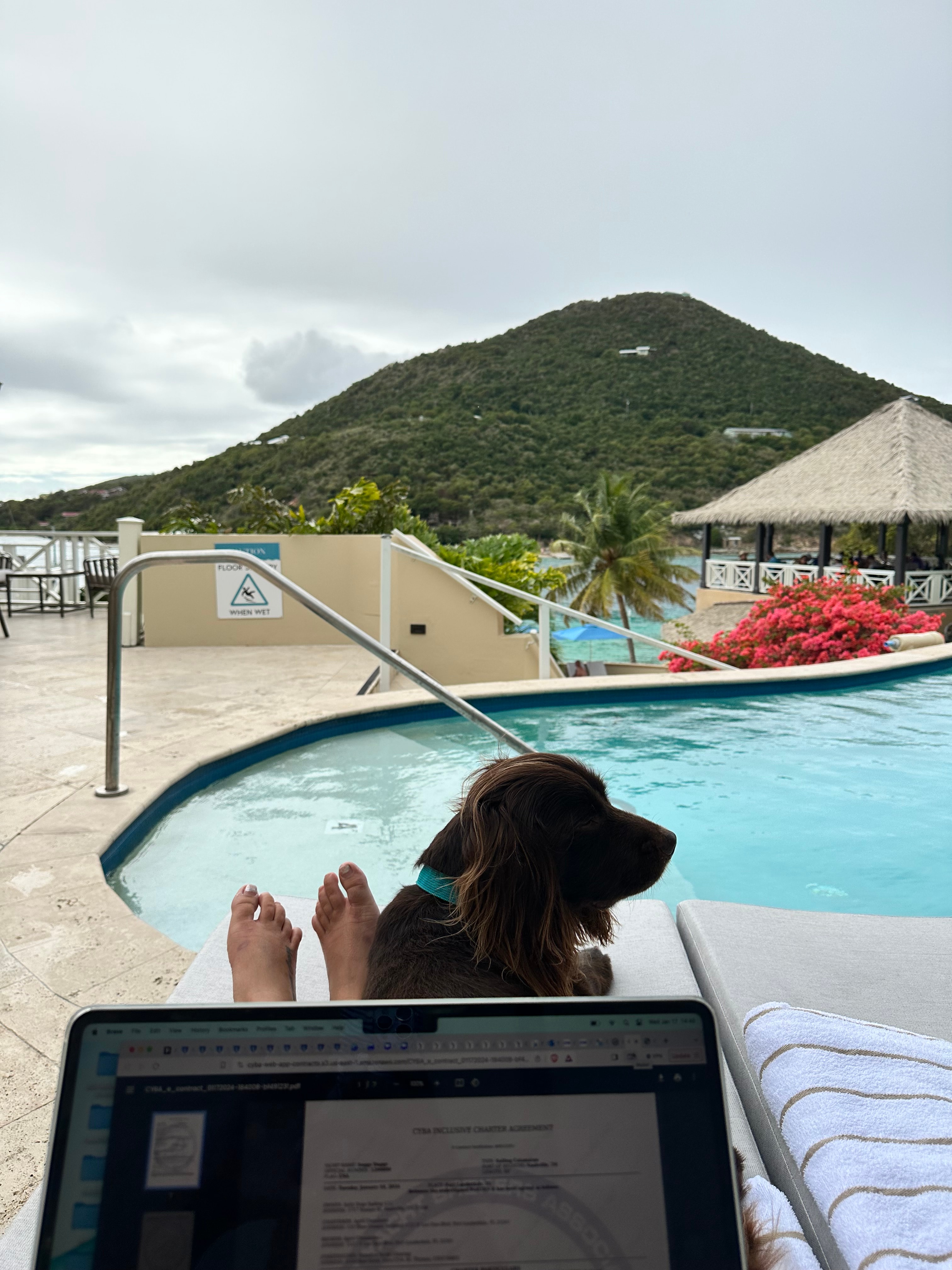 Advisor poses poolside on a cloudy day as palm trees sway in the breeze. 