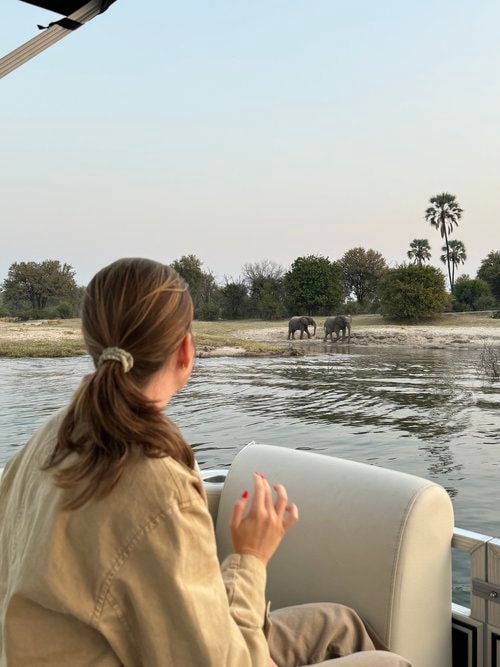 Advisor in a safari vehicle with two animals visible in the distance 