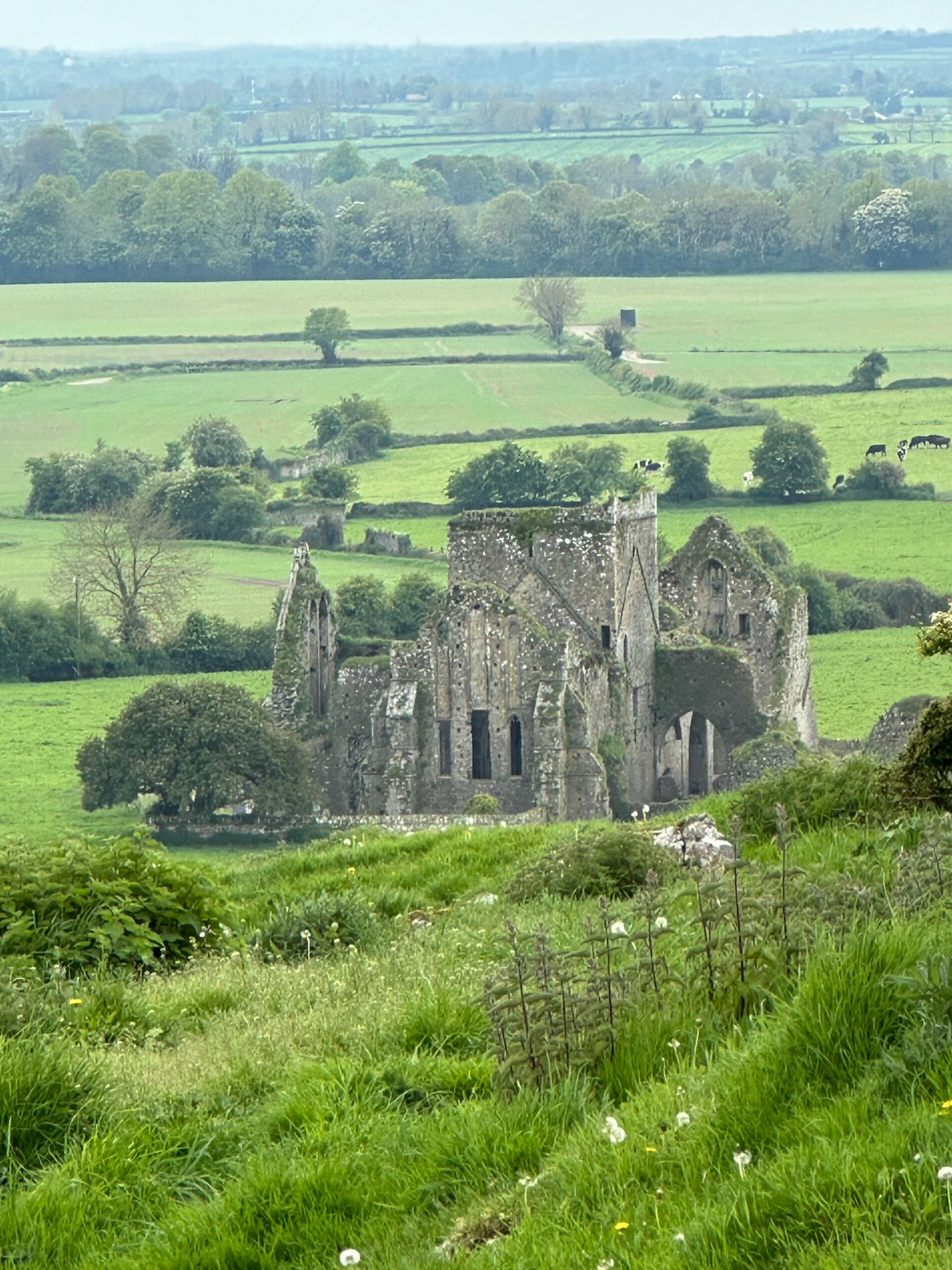 Castle in green hills.