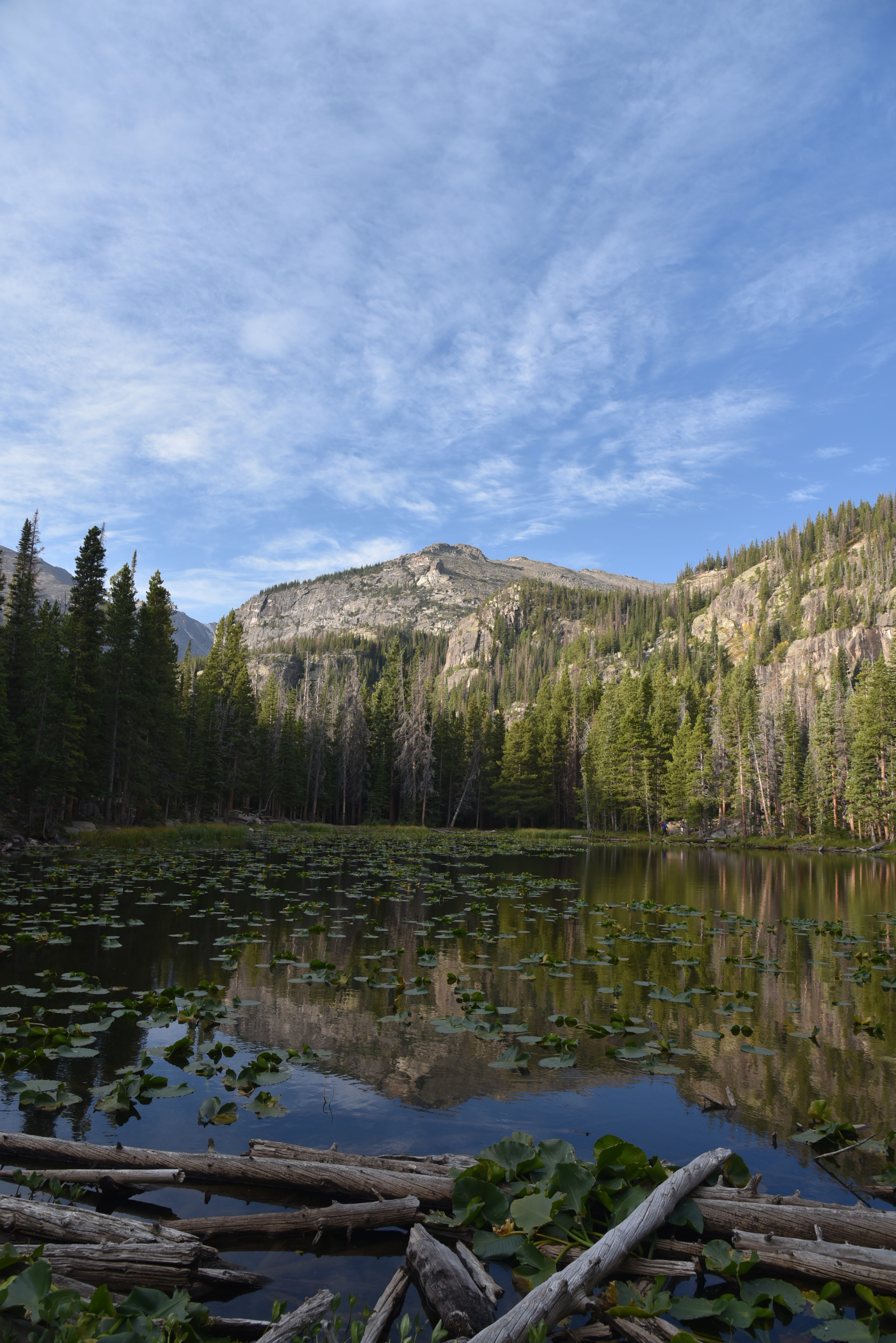 A view of nature on a sunny day with a body of water, mountain range and a forest in the distance. 