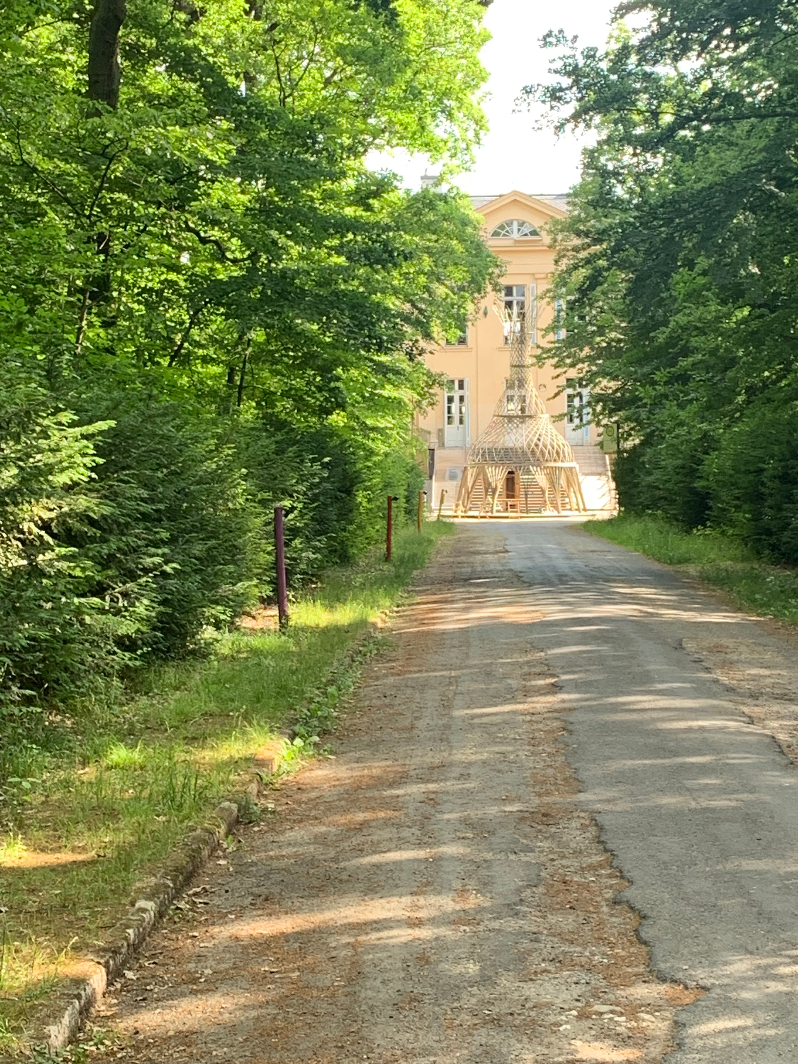 A roadway between tree hedges leading to an orange building