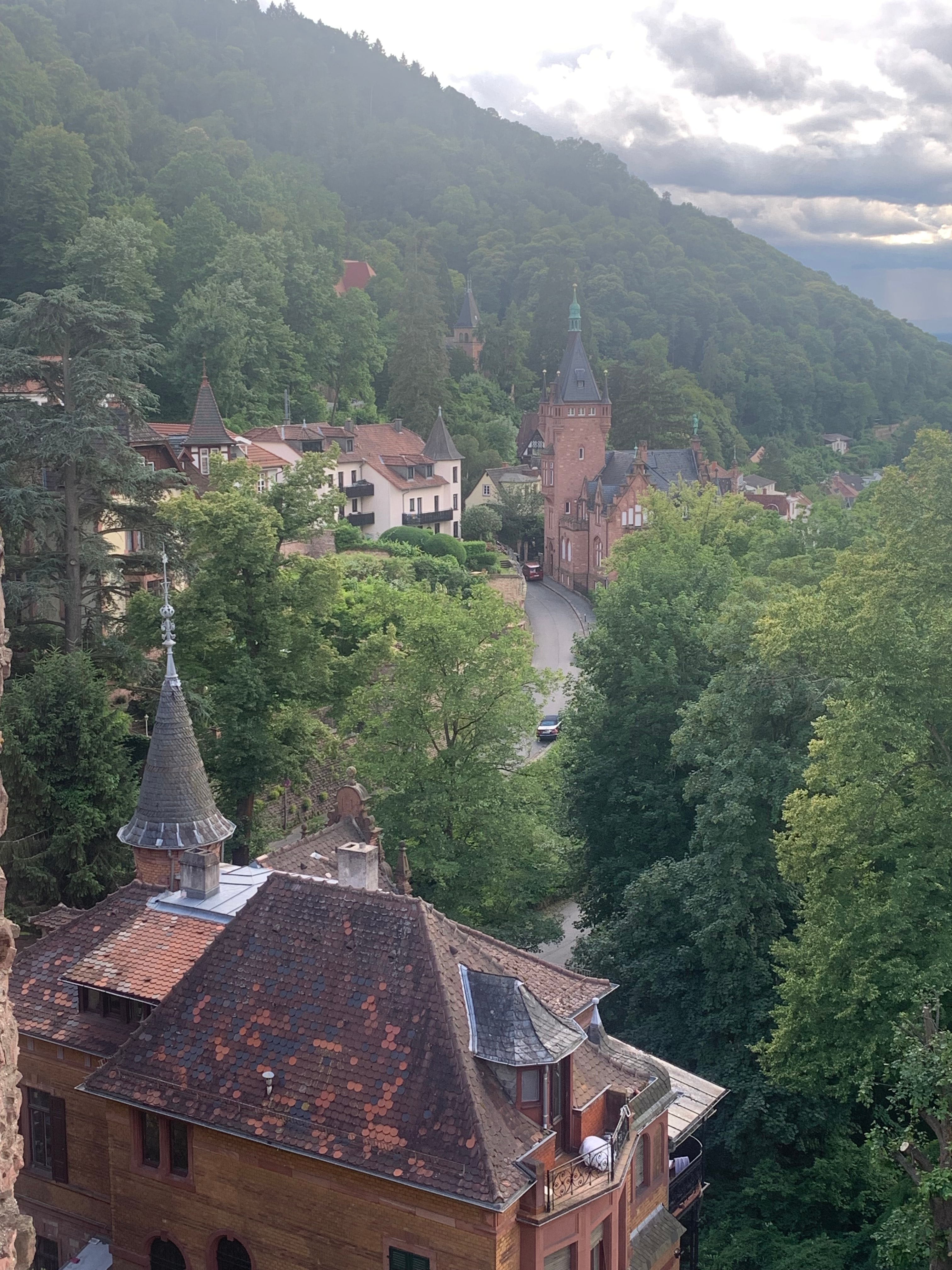 An above view of buildings in between forests during the daytime