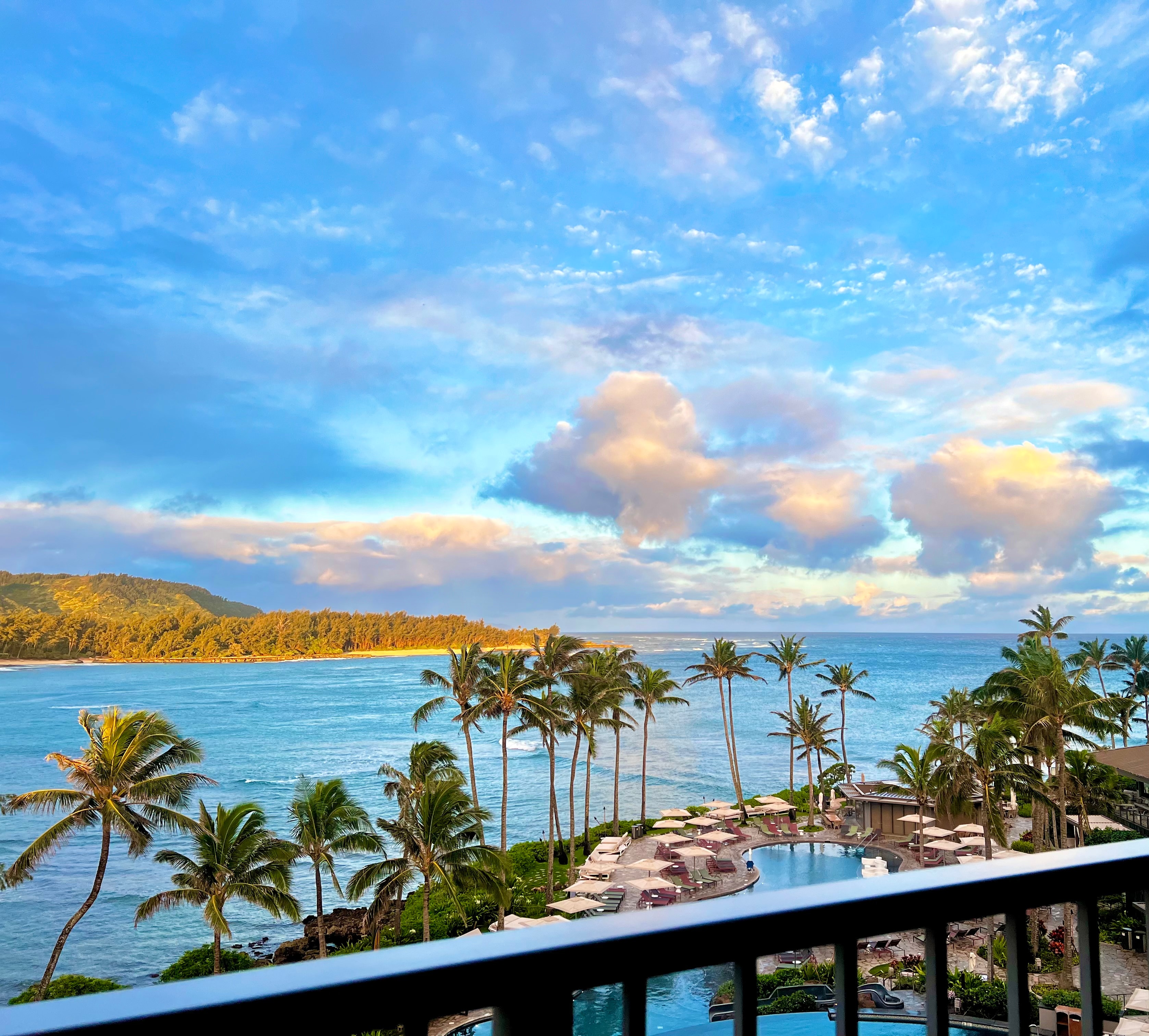 A view of the ocean with palm trees and a beautiful skyline. 