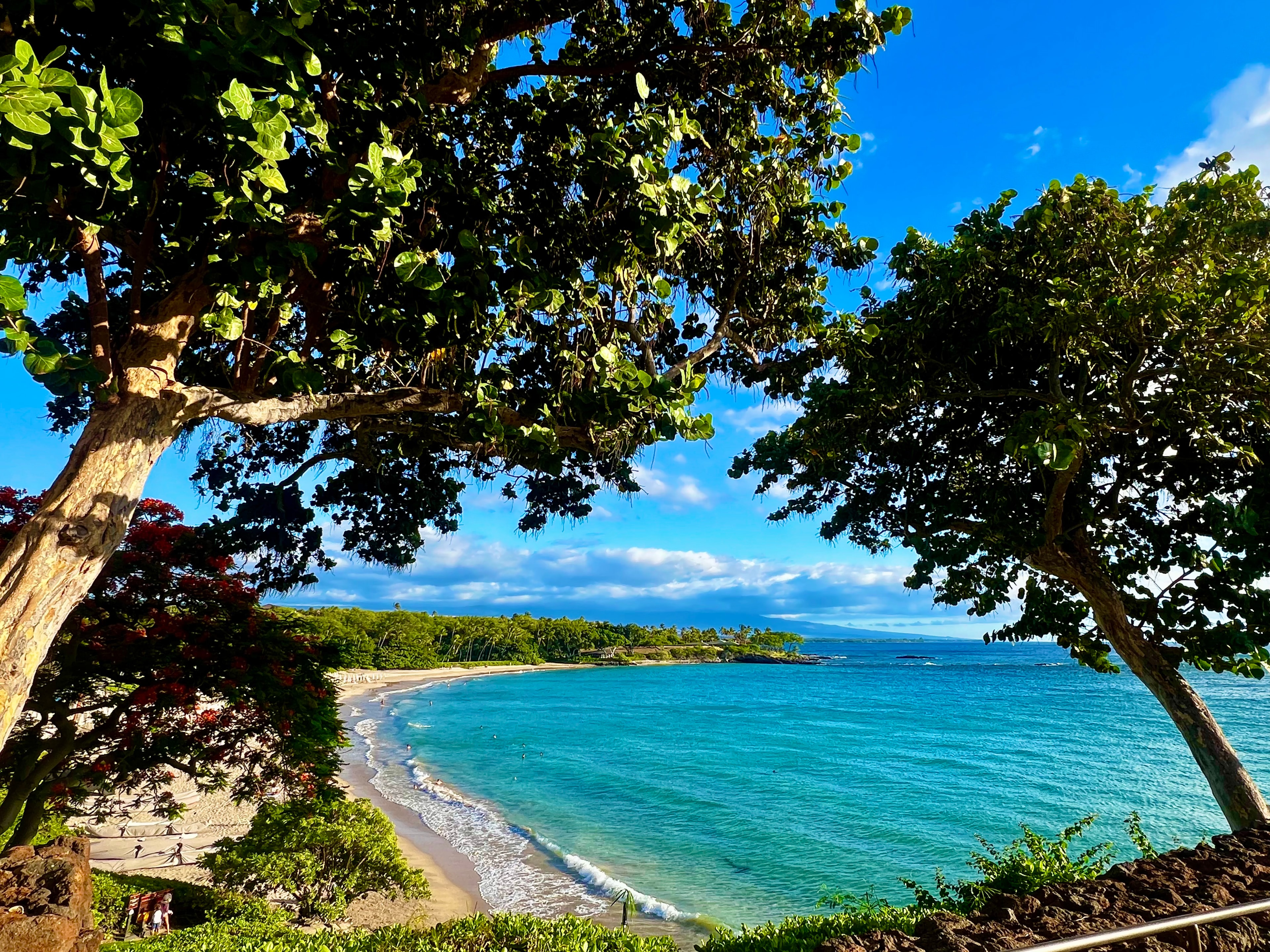 A view of the ocean with foliage during the daytime. 