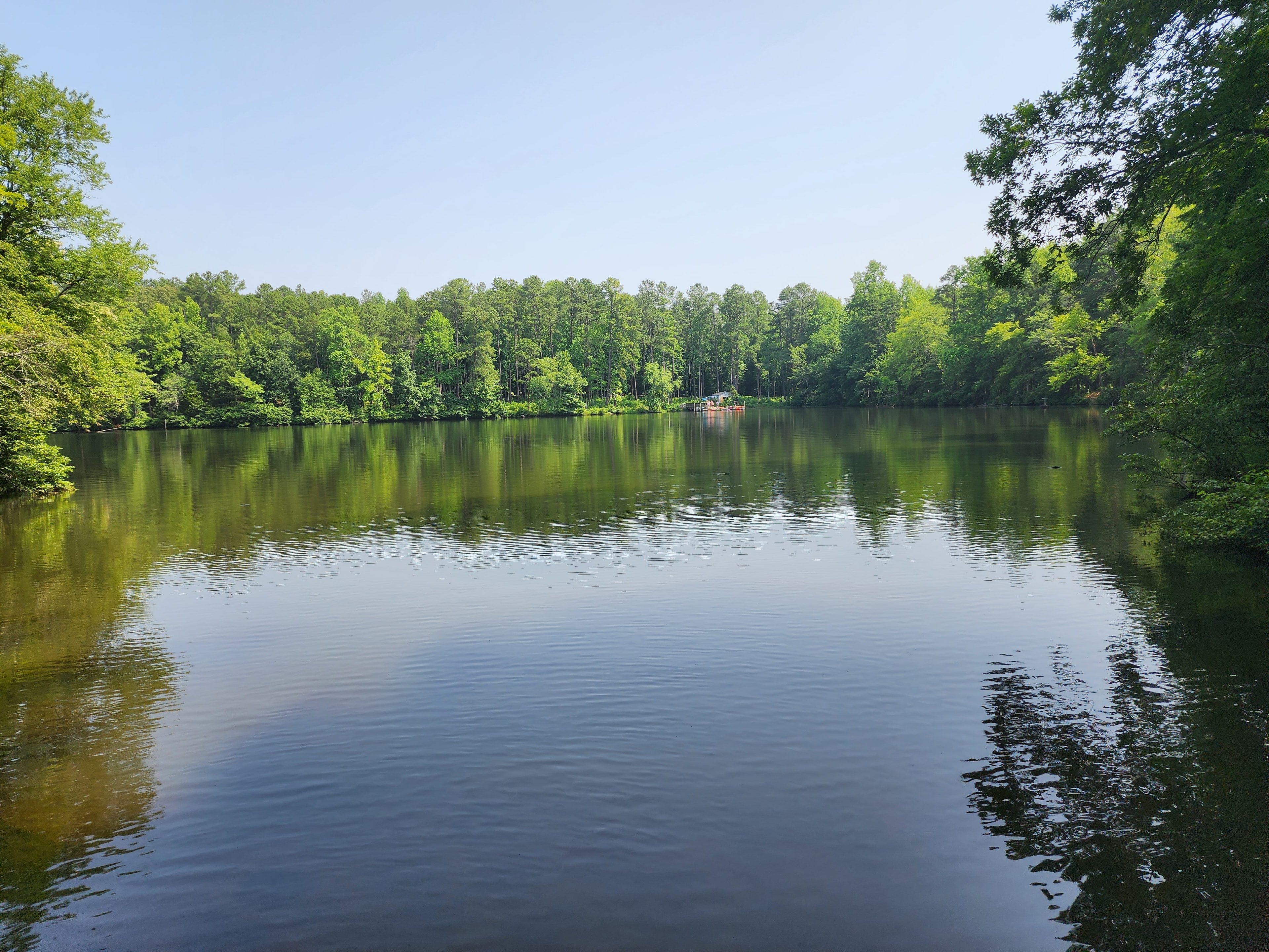 A view of a lake with foliage in the distance during the daytime. 