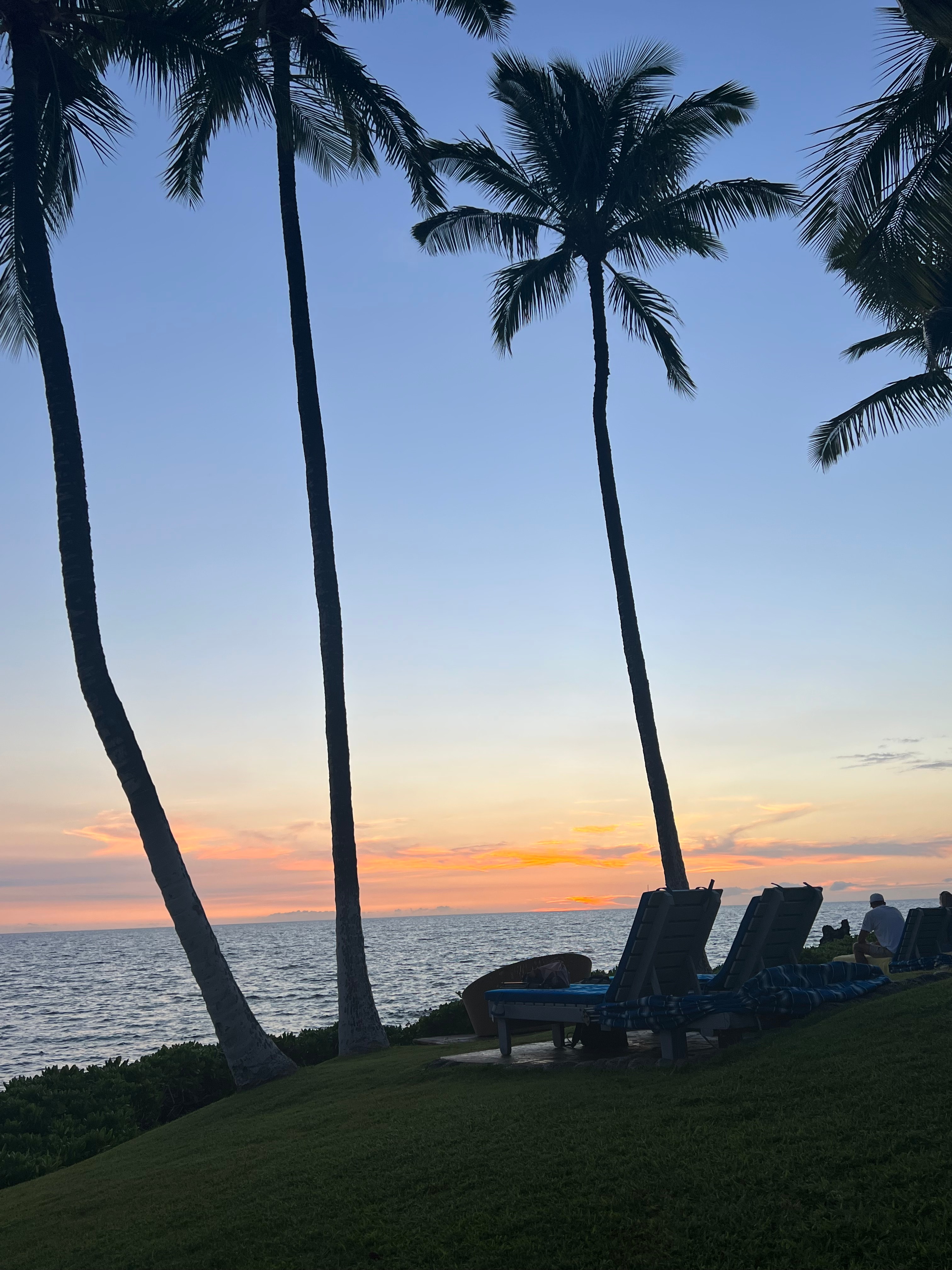 View of a pastel-colored sunset over the sea with four palm trees in silhouette