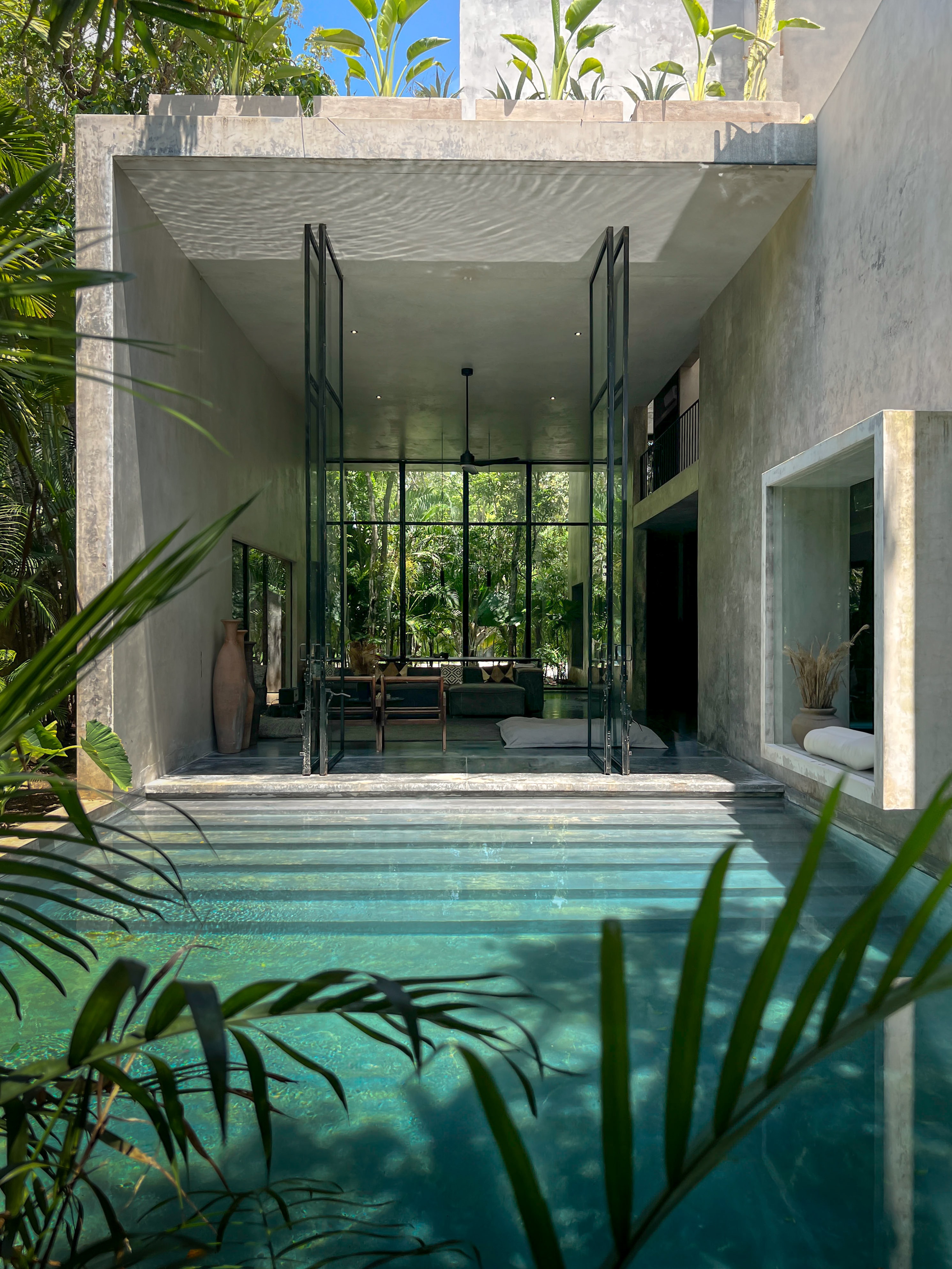 View of a small private pool surrounded by palms at a modern resort 