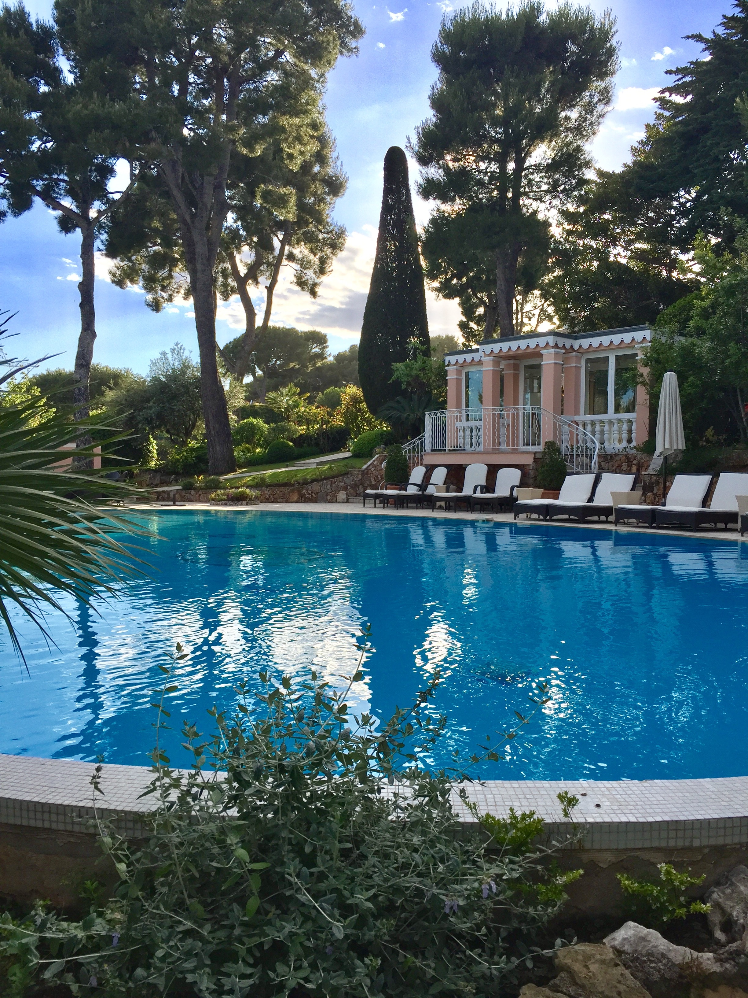 Pool between the trees.