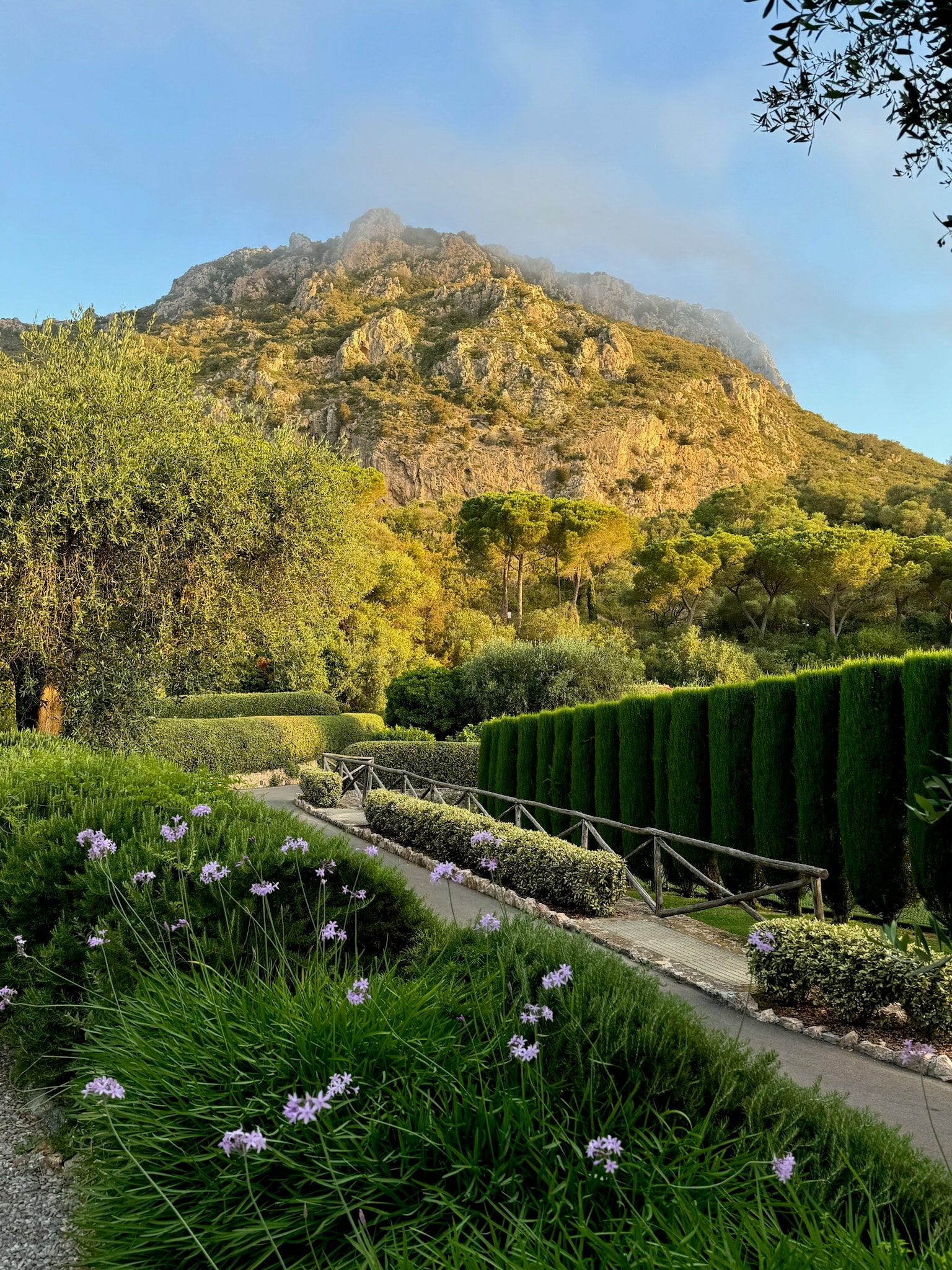 Green hills over garden.