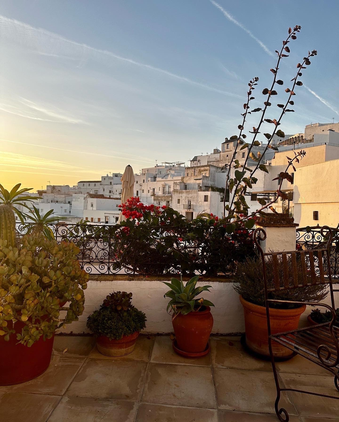 A view of a town at dusk with white buildings and foliage in the distance. 