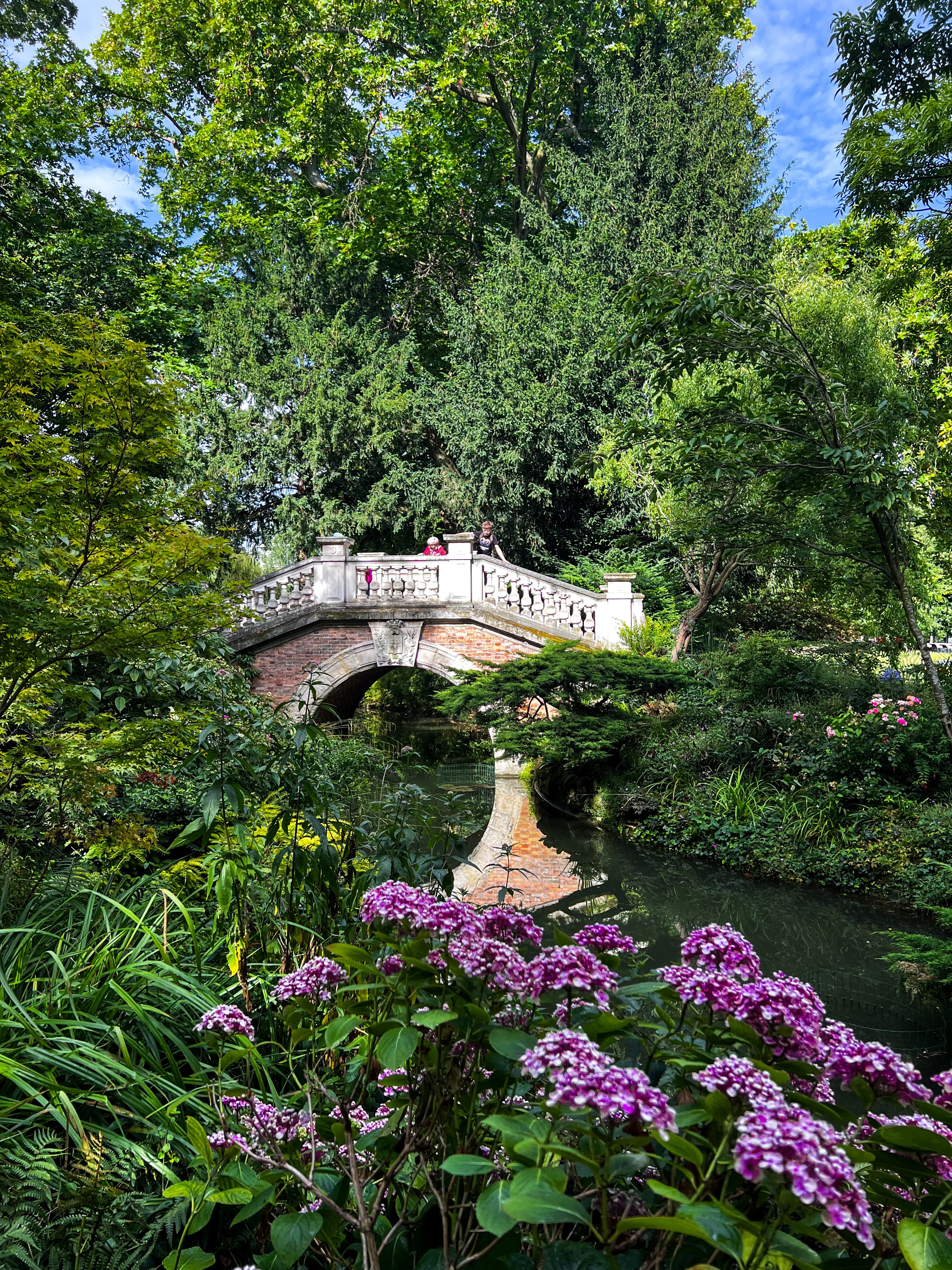 View of a white bridge in a sunny green park with purple flowers blooming in the foreground