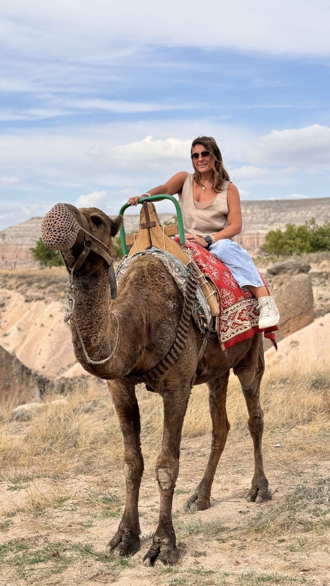 Advisor on a camel’s back under cloudy skies