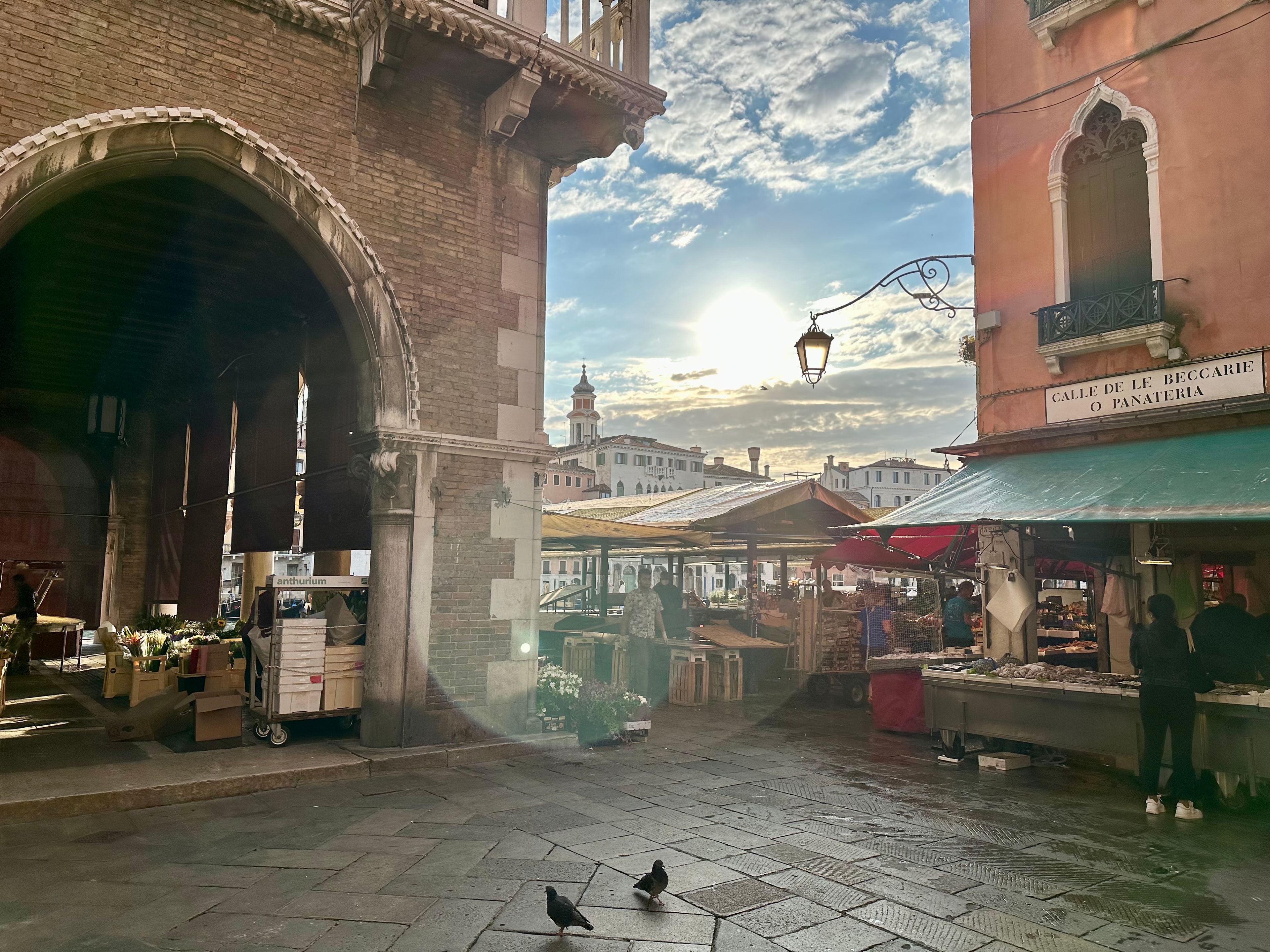 View of a small plaza lined with produce stands and sunlight streaming through