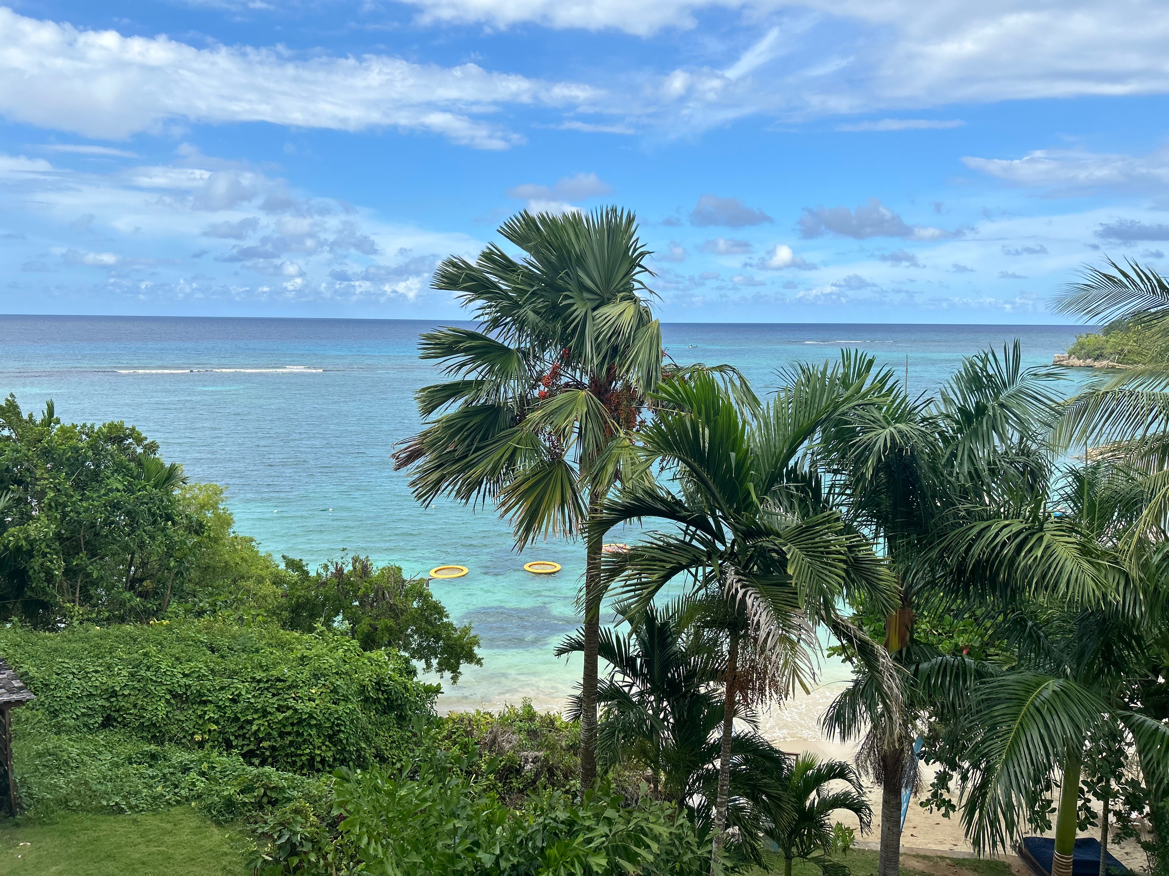 View of palm trees on a beach by the sea with clear water in the background