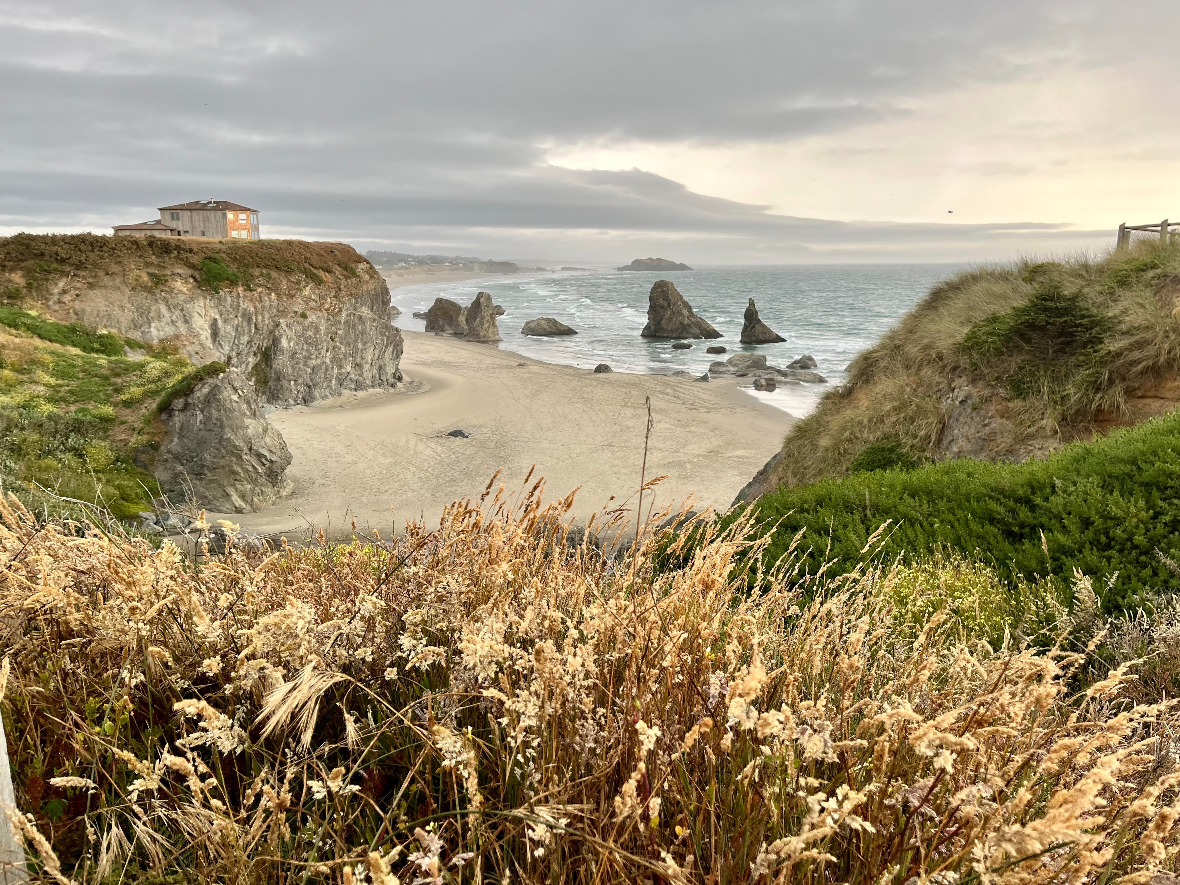 View of an empty beach and the sea on a cloudy evening with dry plants in the foreground