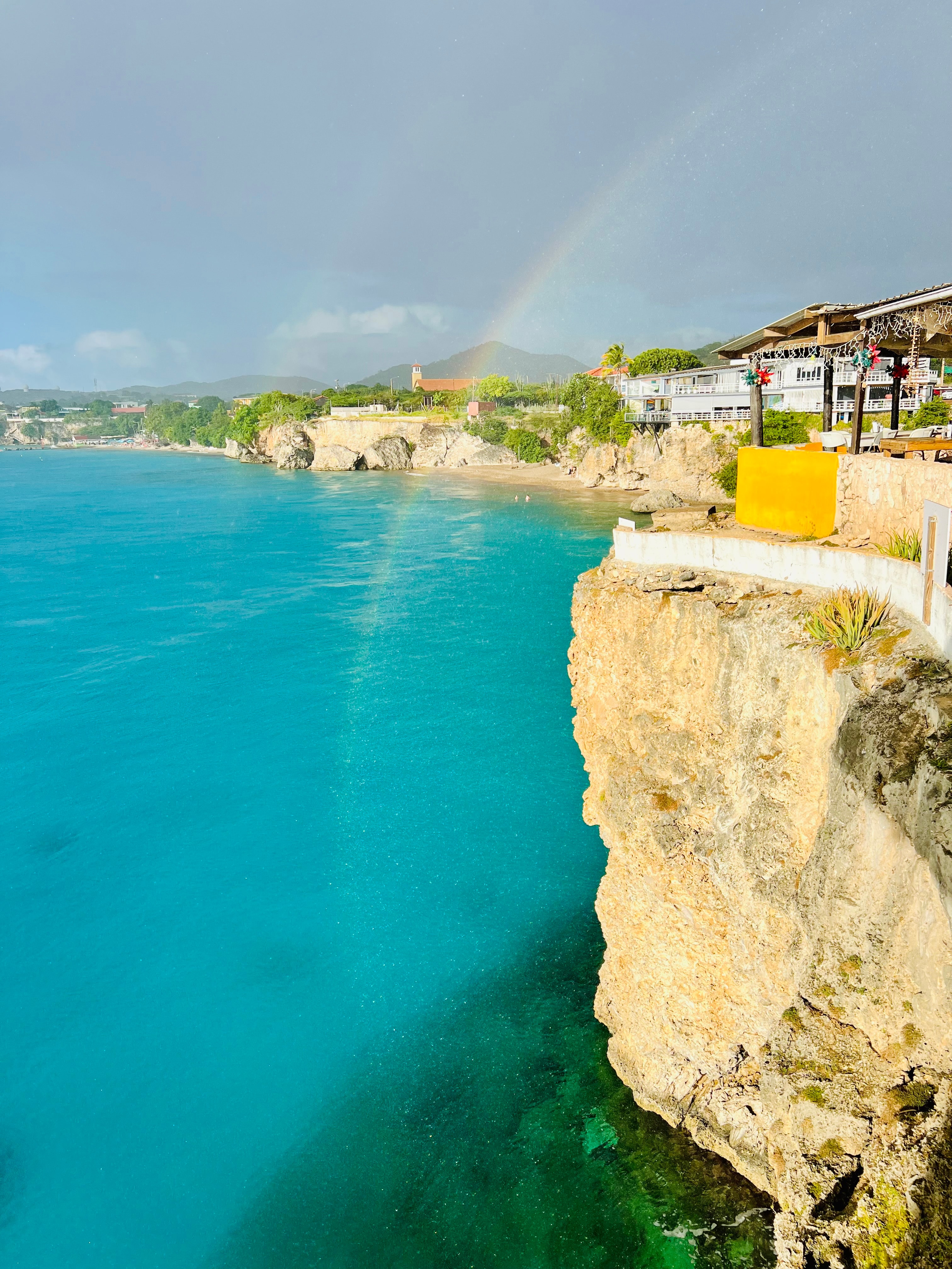 Photo of a cliff with the ocean underneath, with a glimpse of the city in the background.