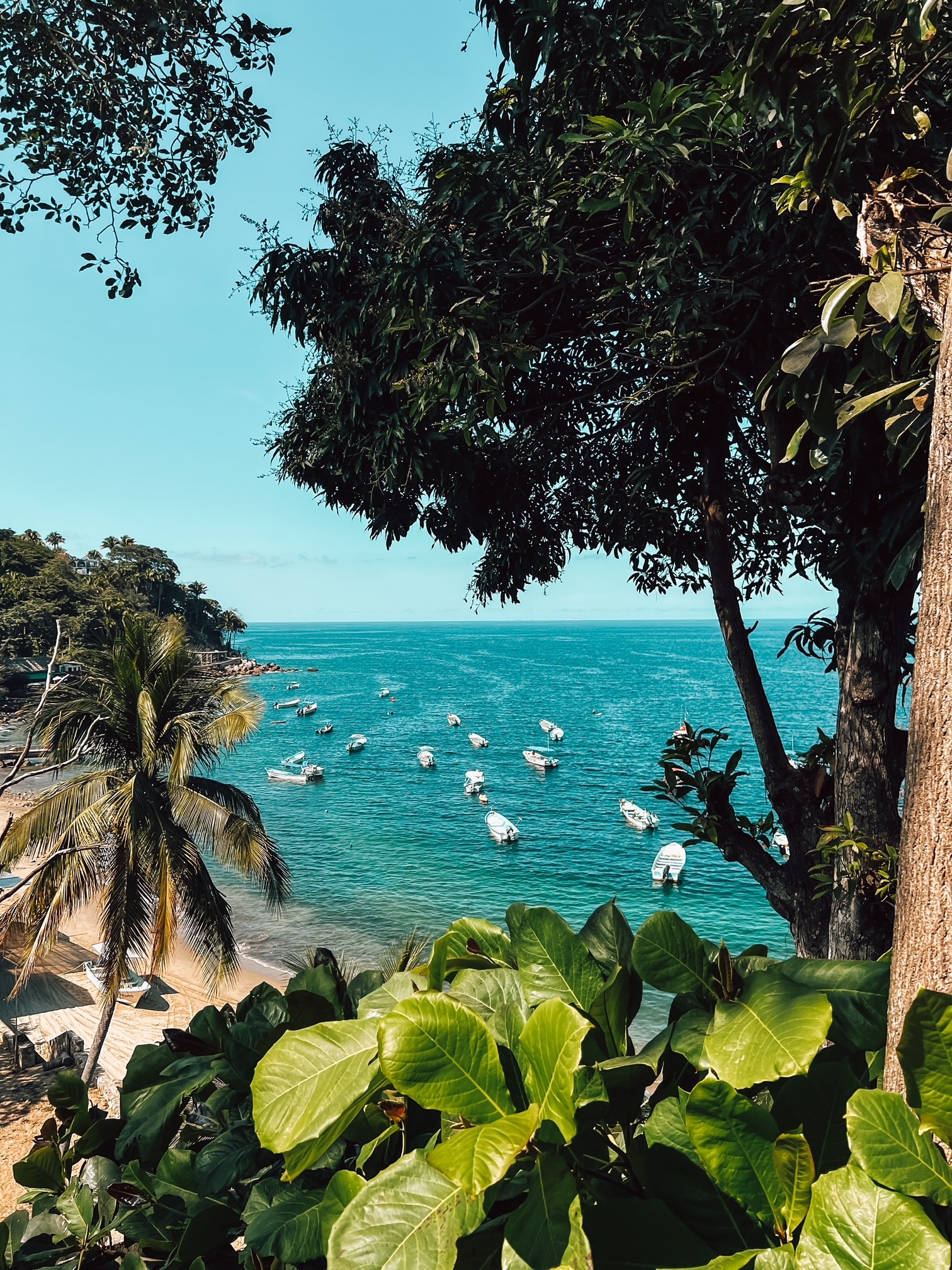 View of small boats floating offshore a small beach on a sunny day as seen through tree branches in the foreground