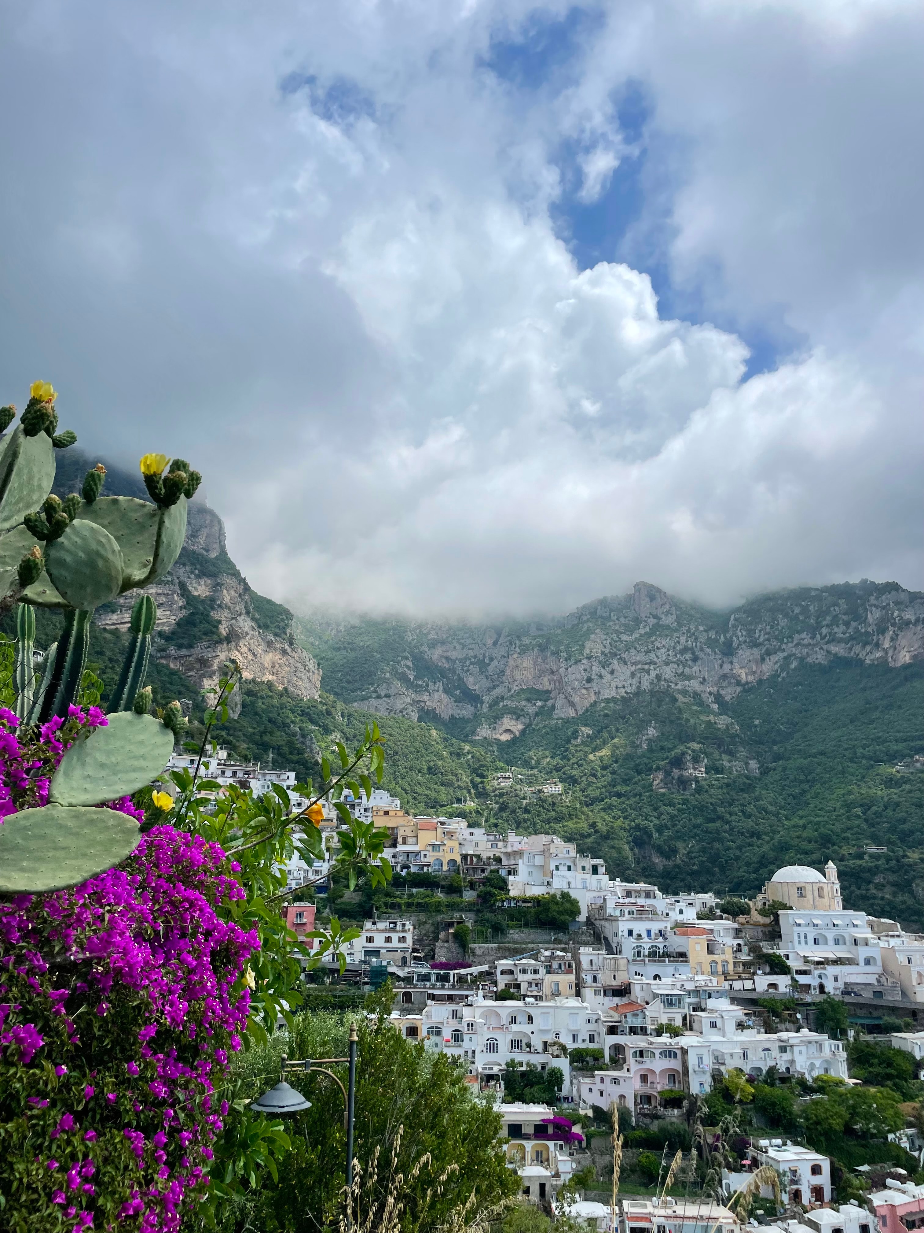 View of a town on a hillside with purple flowers blooming in the foreground