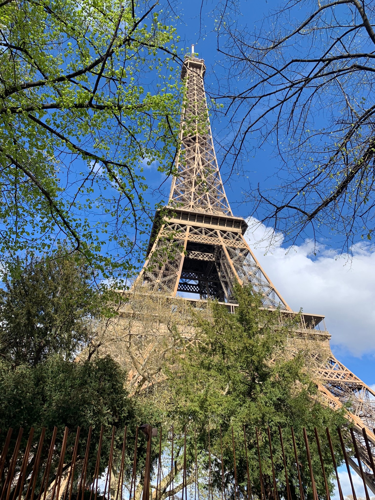 A view of the Eiffel Tower from the ground on a clear day dotted with clouds. 