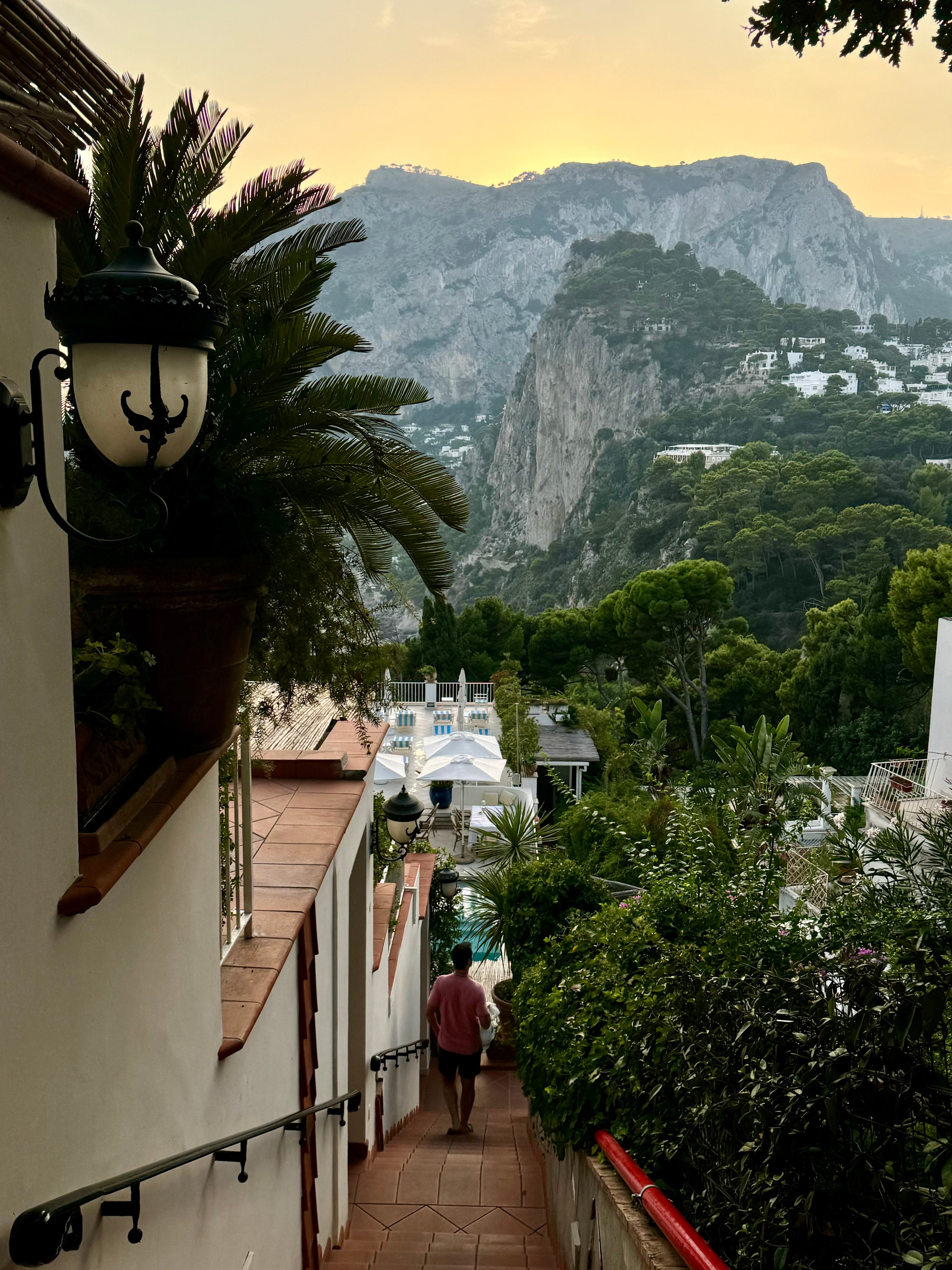 View of a hut with a palm tree outside with cliffs and mountains in the background.