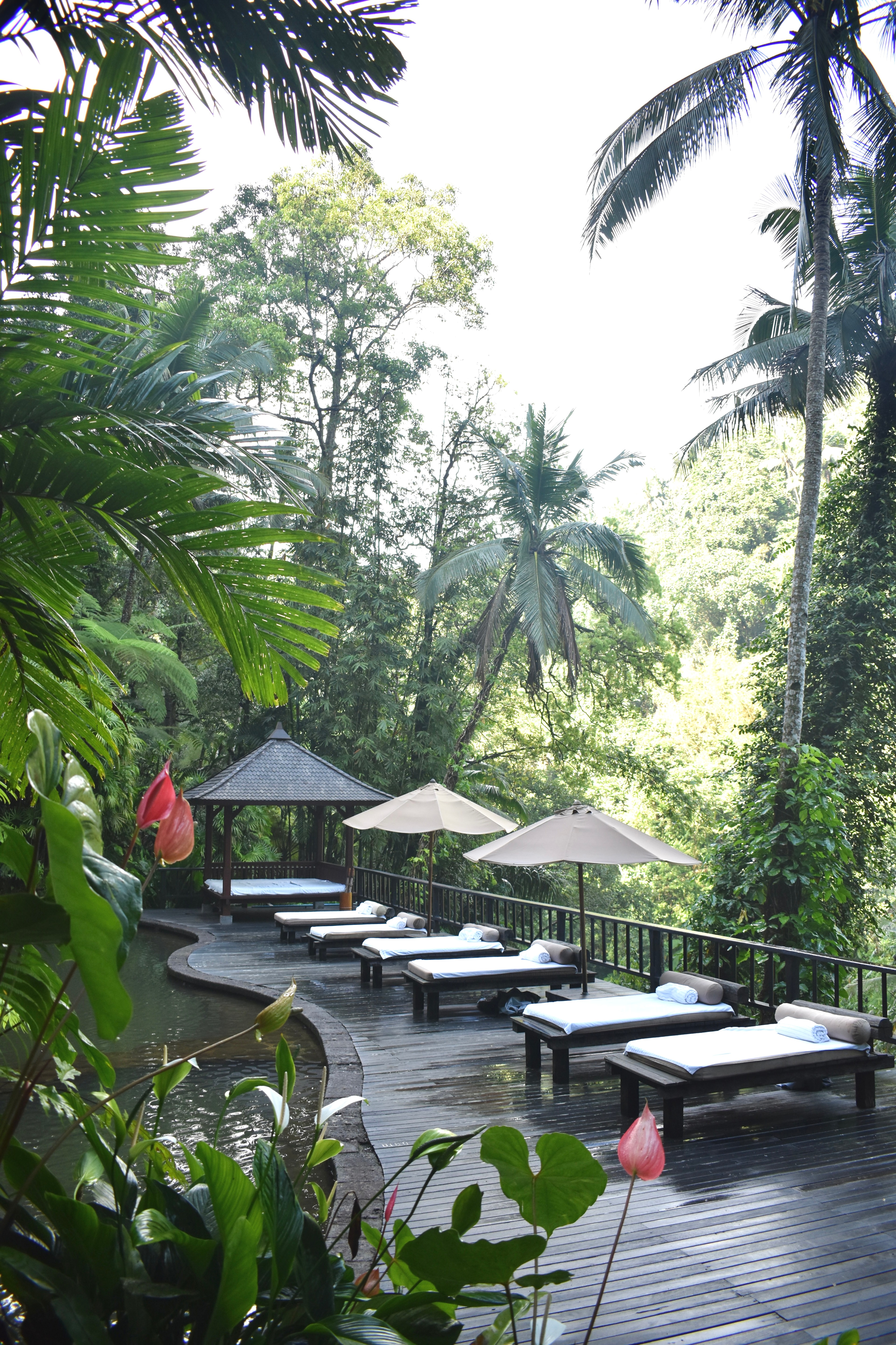 Empty row of lounge chairs on a wooden deck in the jungle